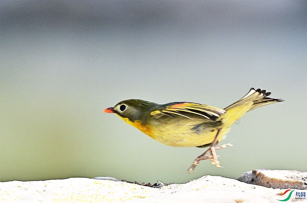 DSC_1753.JPG