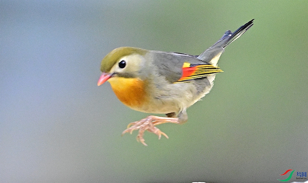 DSC_8432.JPG