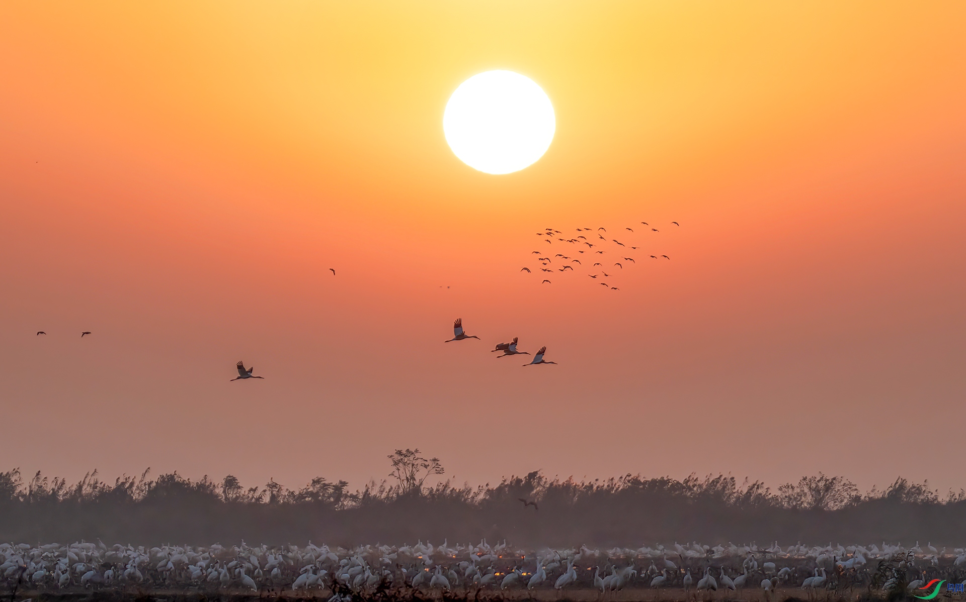 _60A4314 ����-Sh---1 .jpg