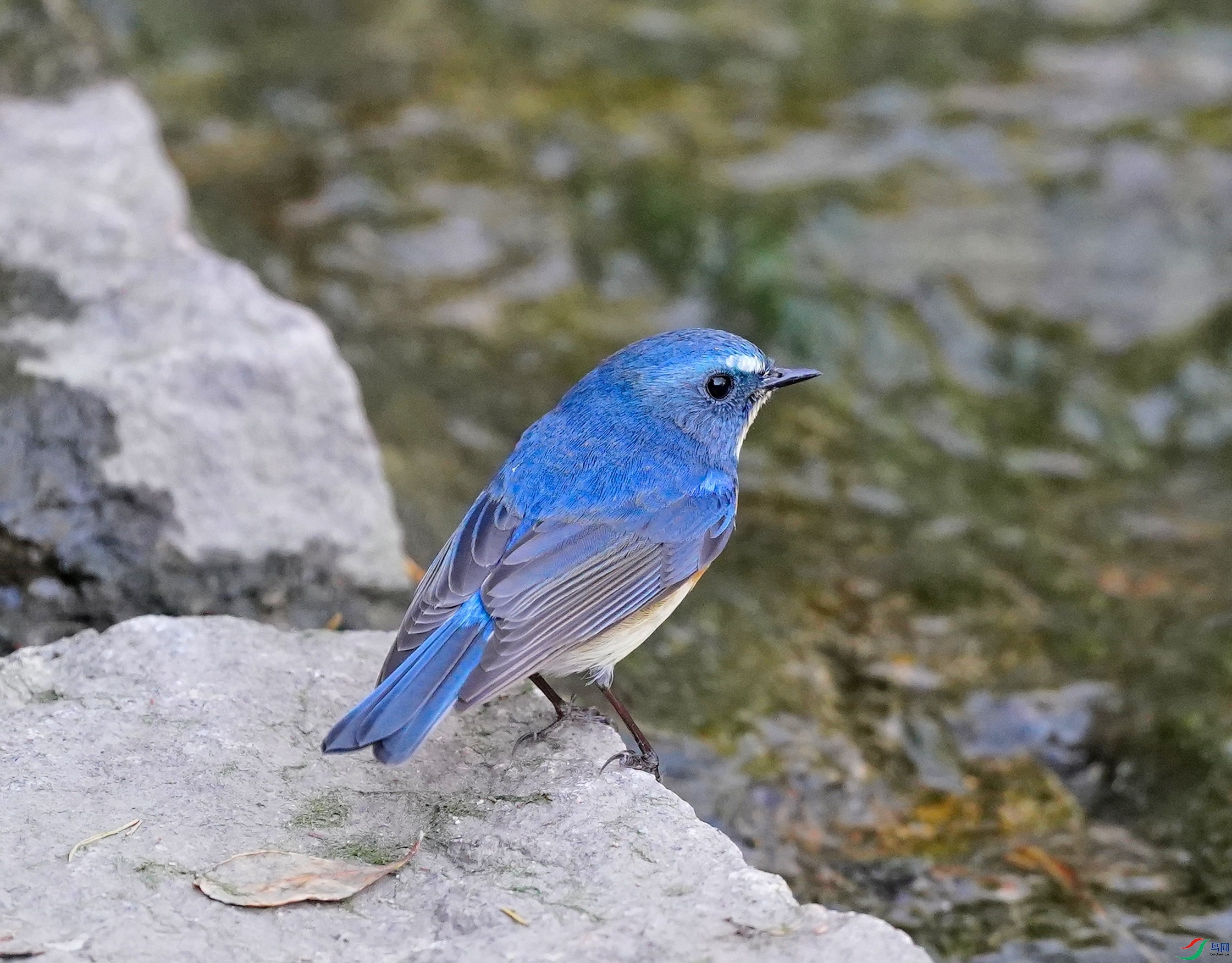 DSC04688.JPG