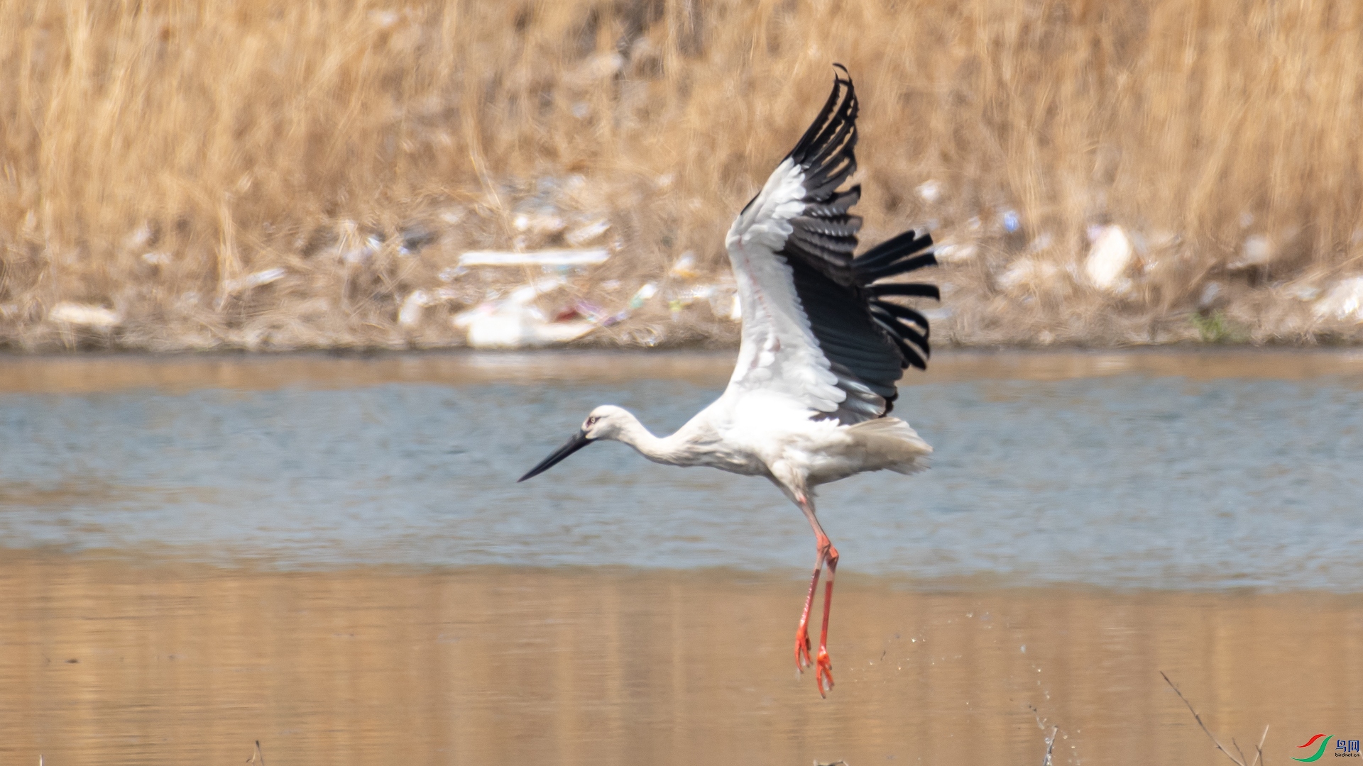 DSC_8537.jpg