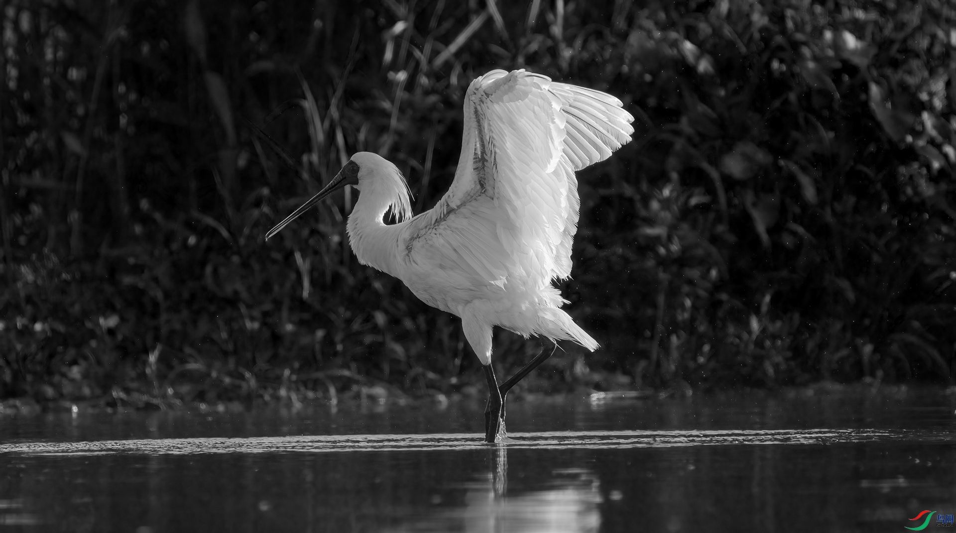 DSC01070 ����.jpg