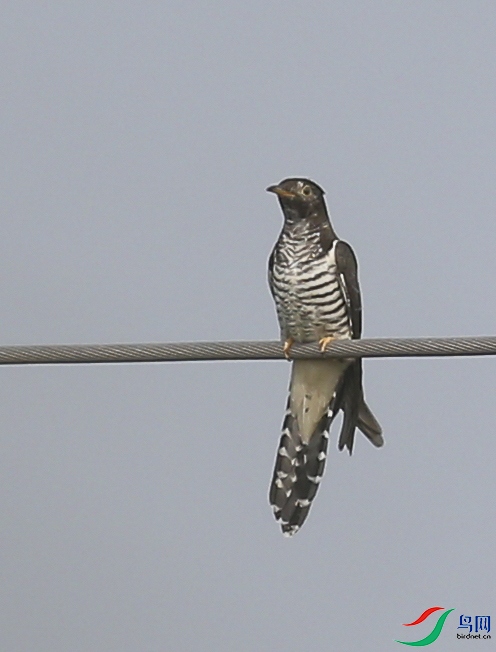 ���� (6)-1.jpg