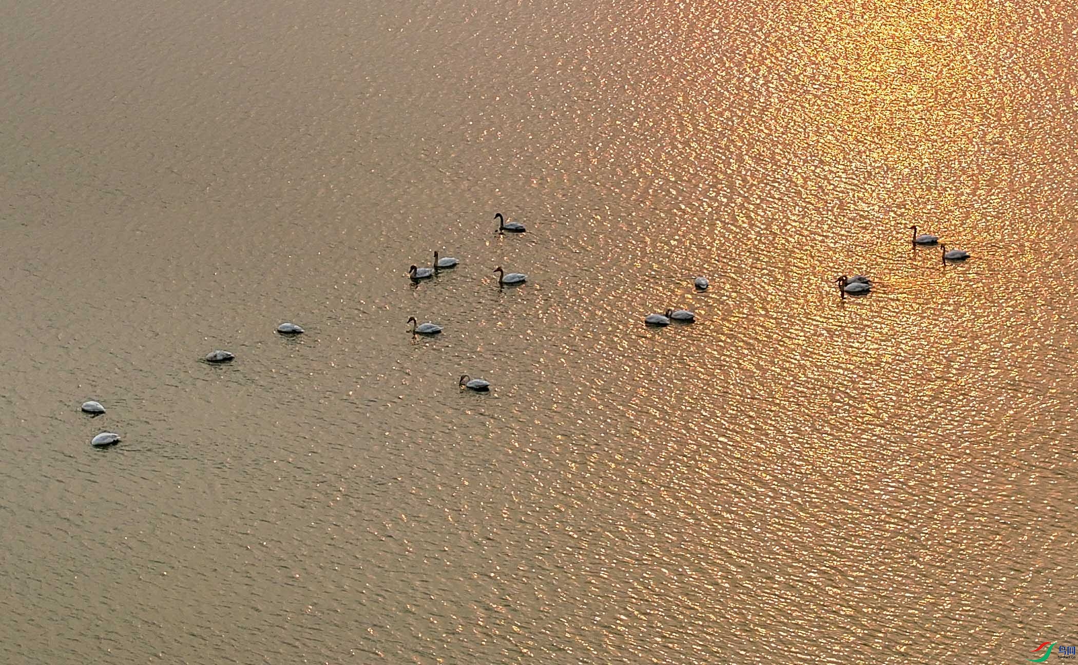 DJI_20250308153602_0727_D.JPG