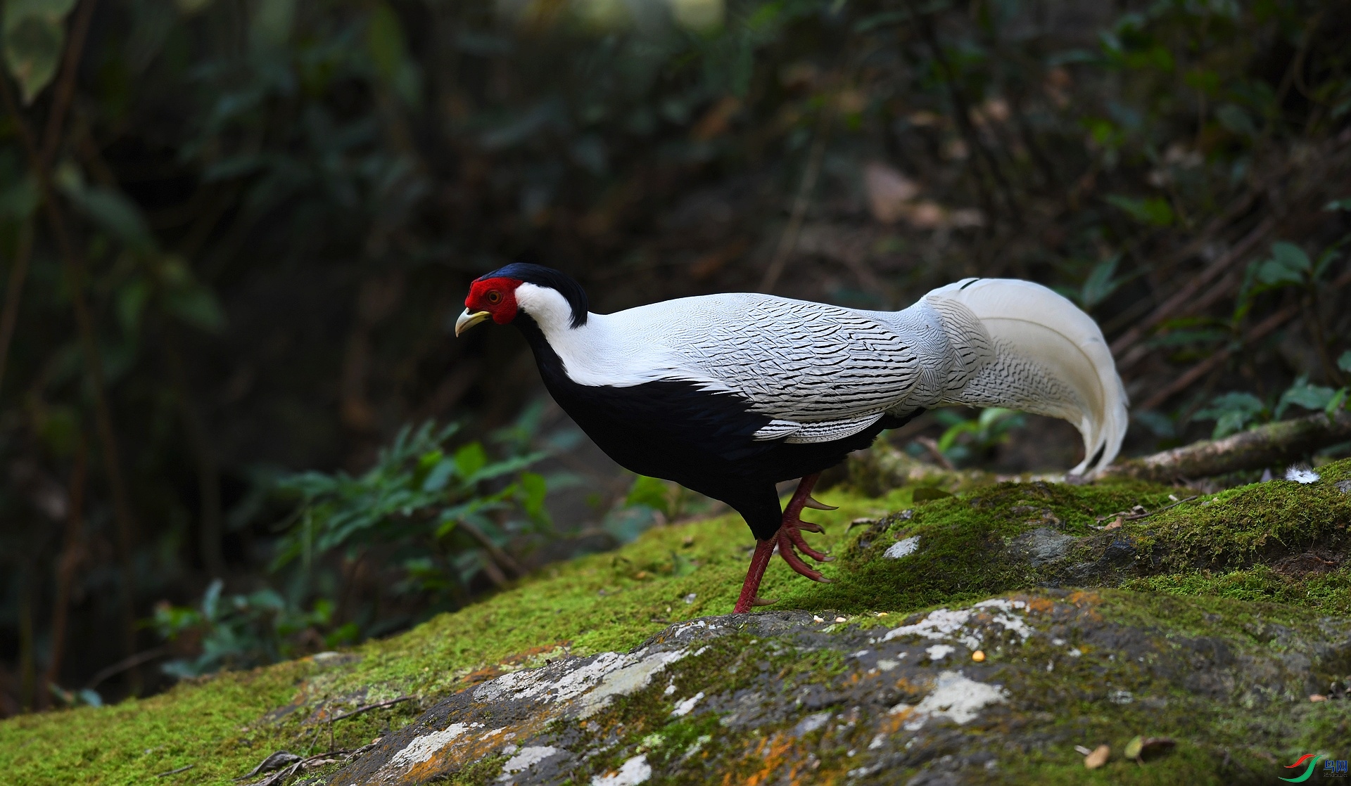 DSC_3552.jpg