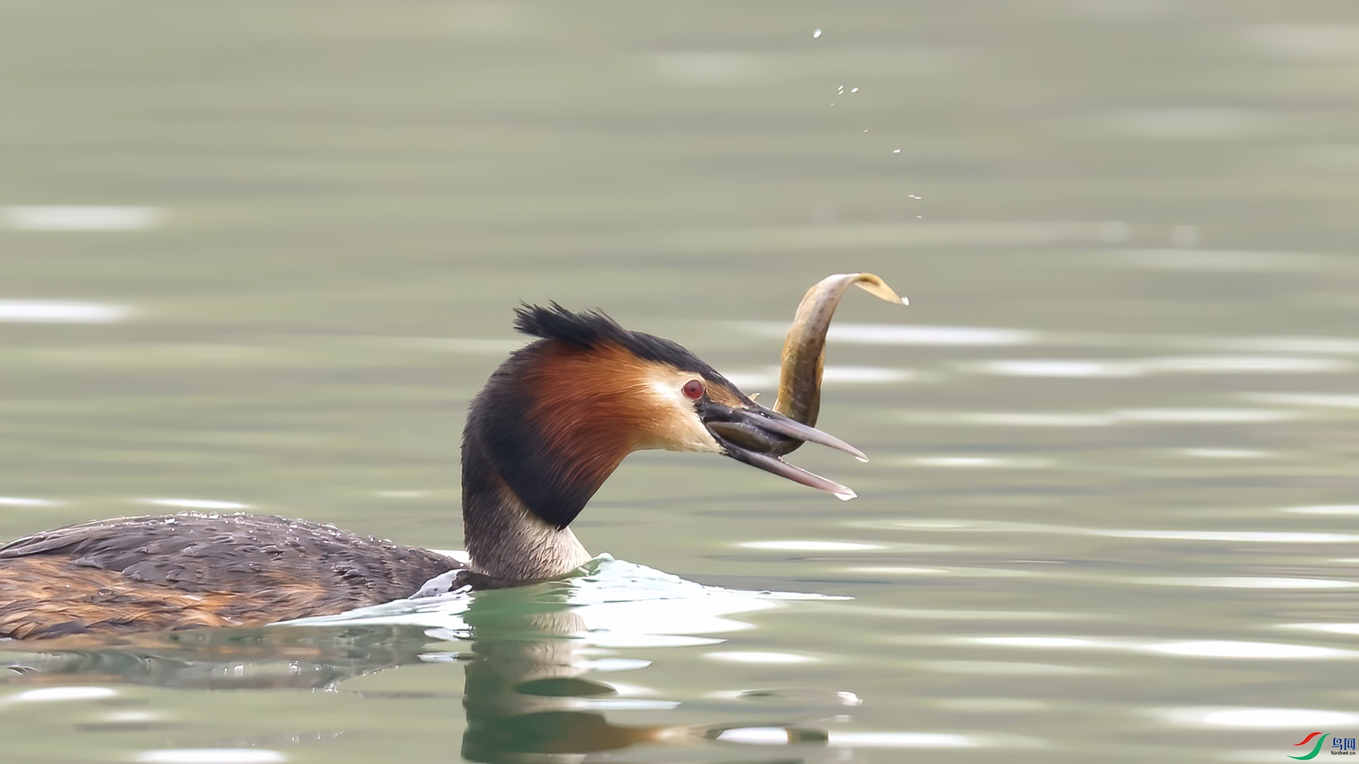 ��֡ 2025-03-11 221729_1.1.jpg