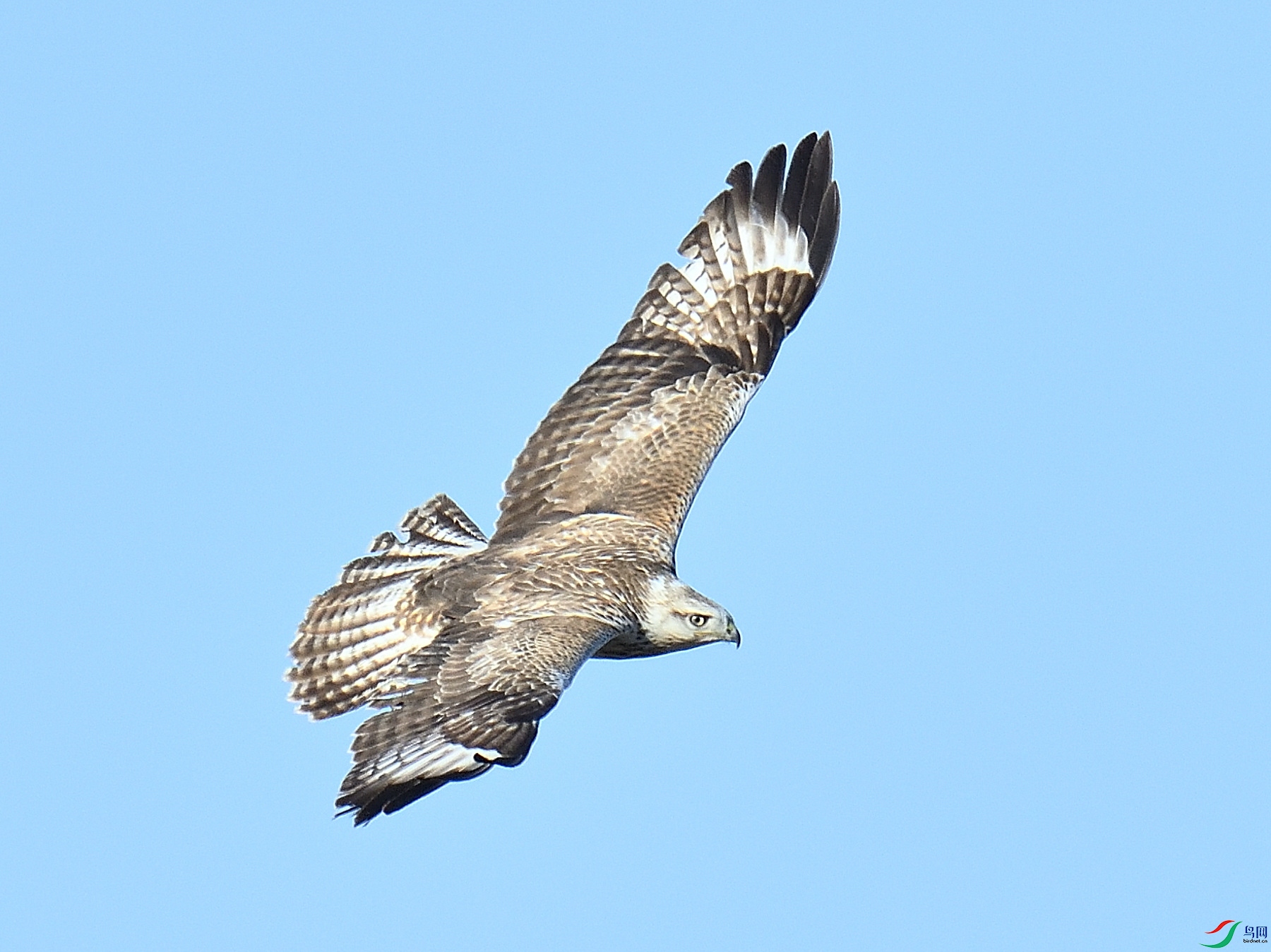 DSC_2273.JPG