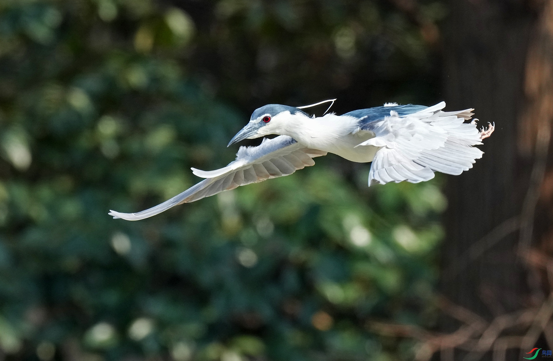 DSC06890--.jpg
