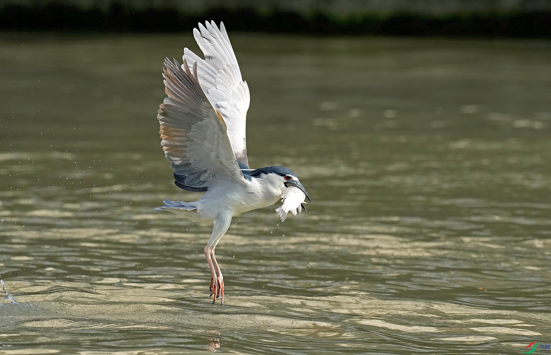 DSC06992--.jpg