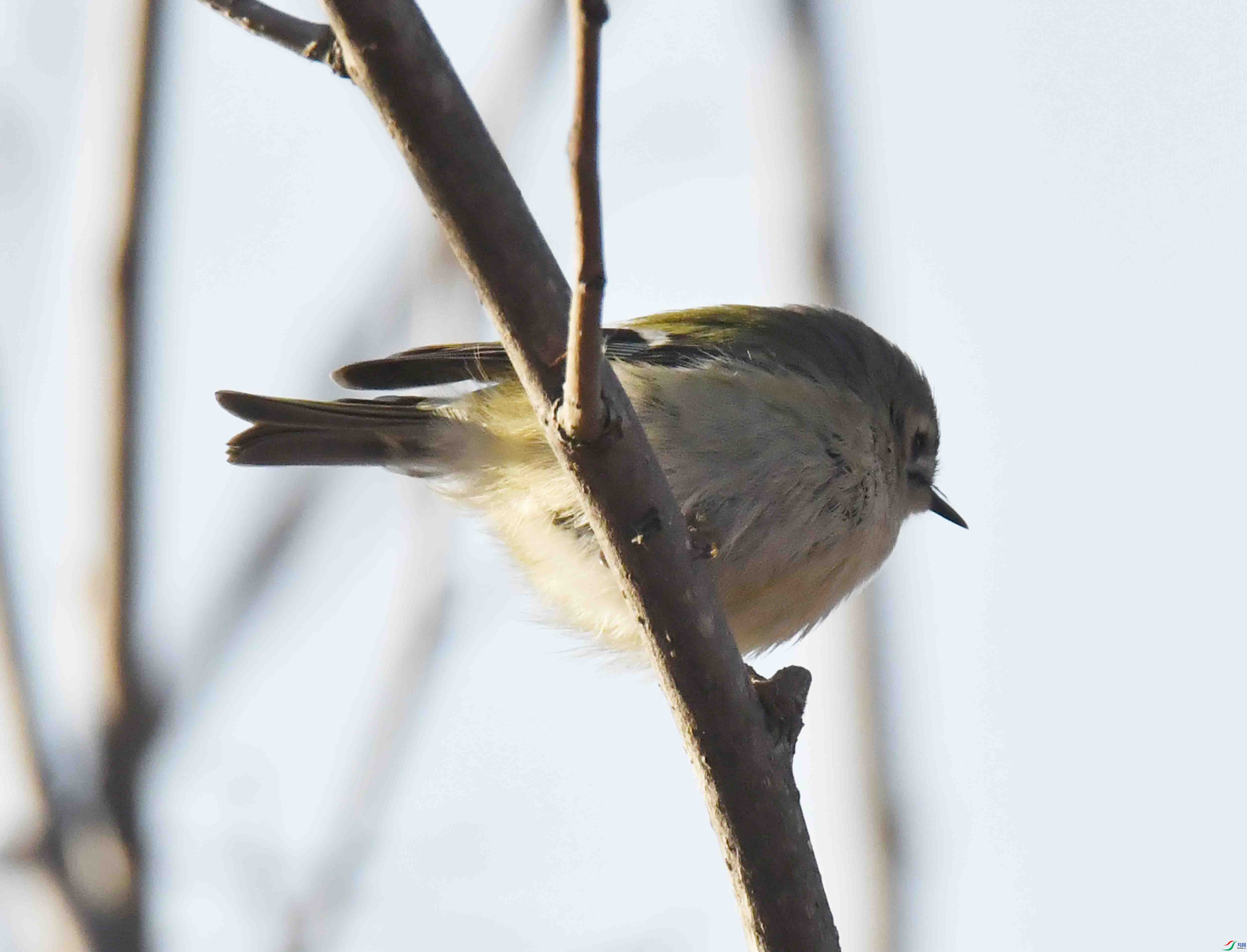 DSC_9762.JPG