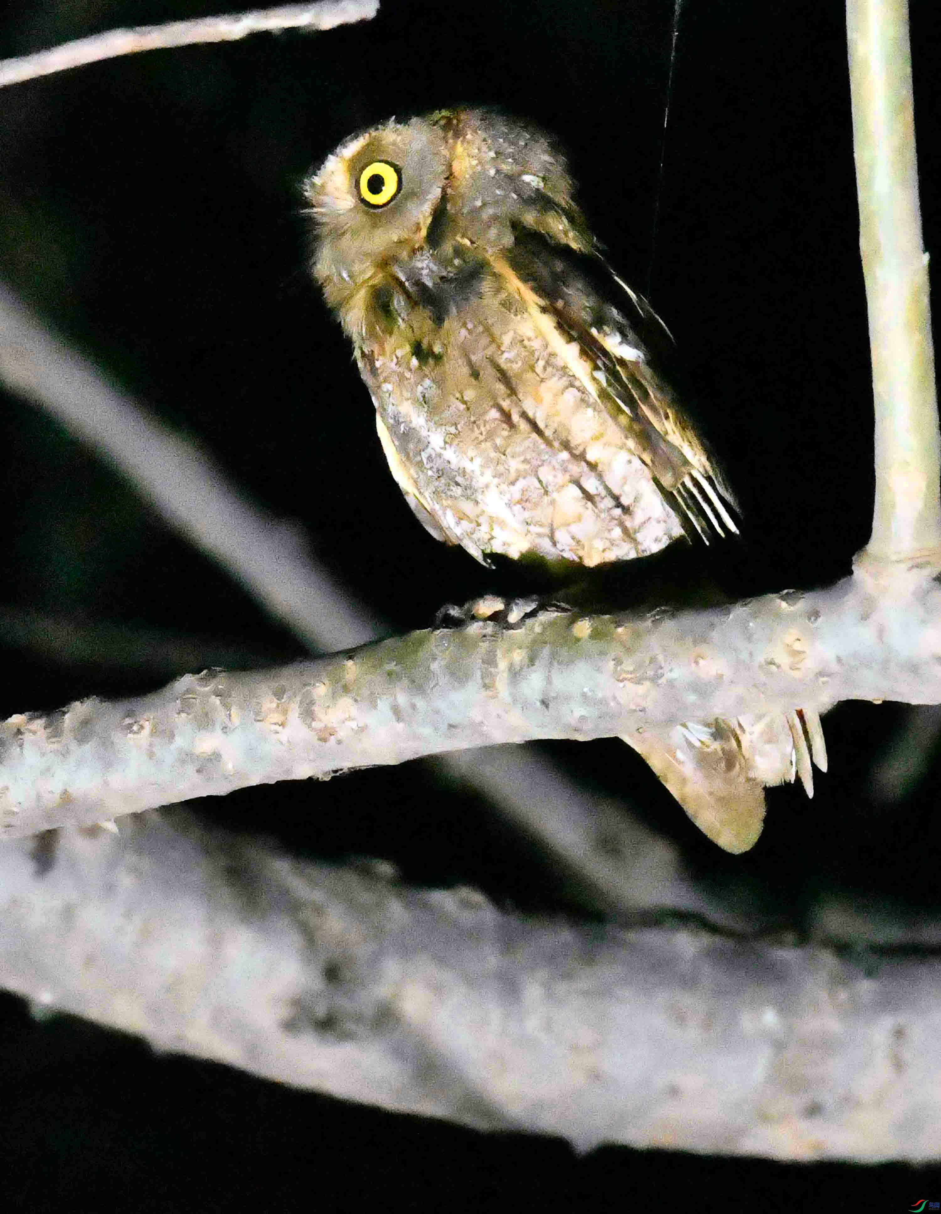 DSC_4702.JPG