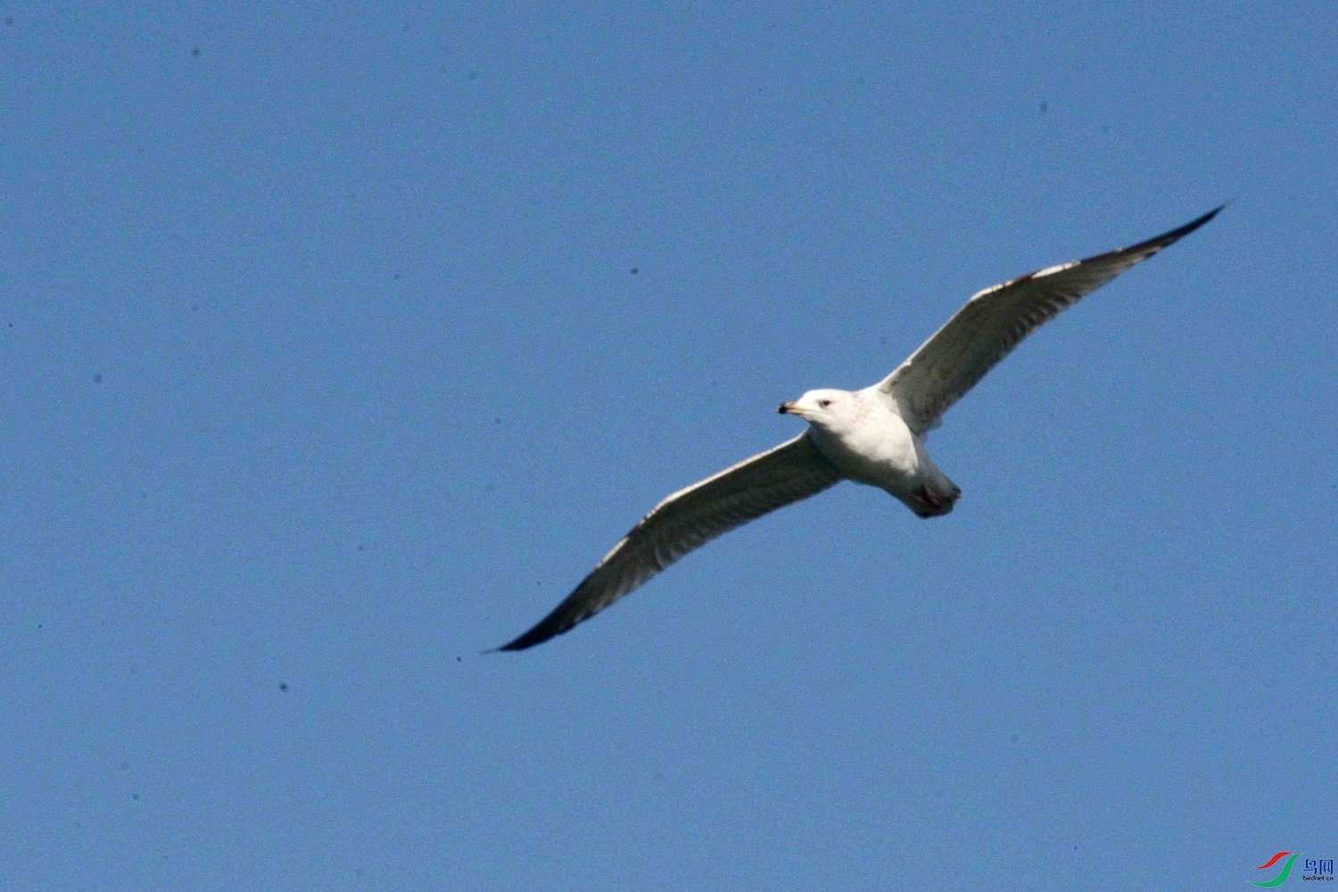 DSC_9711.JPG