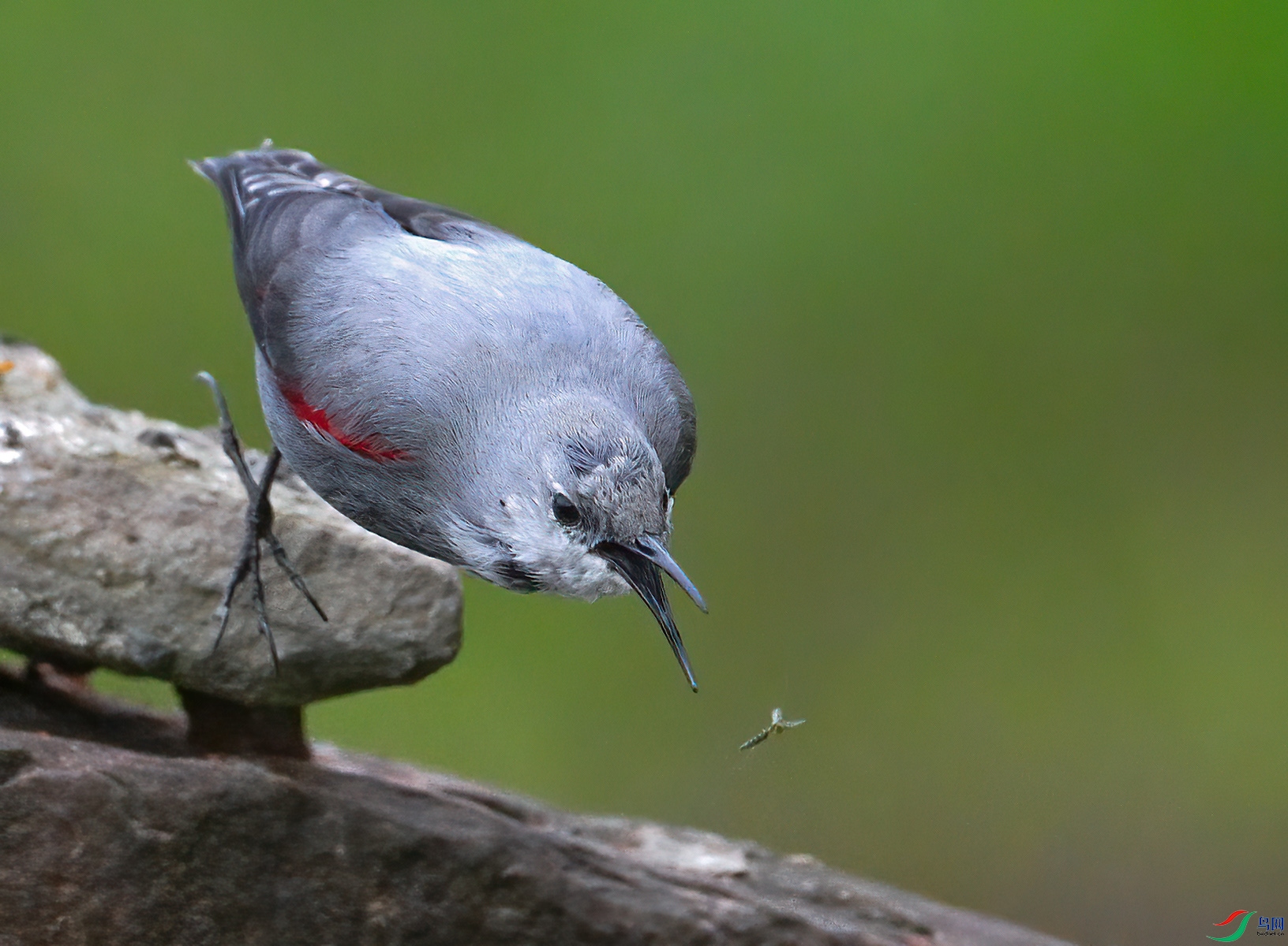DSC_0165.JPG