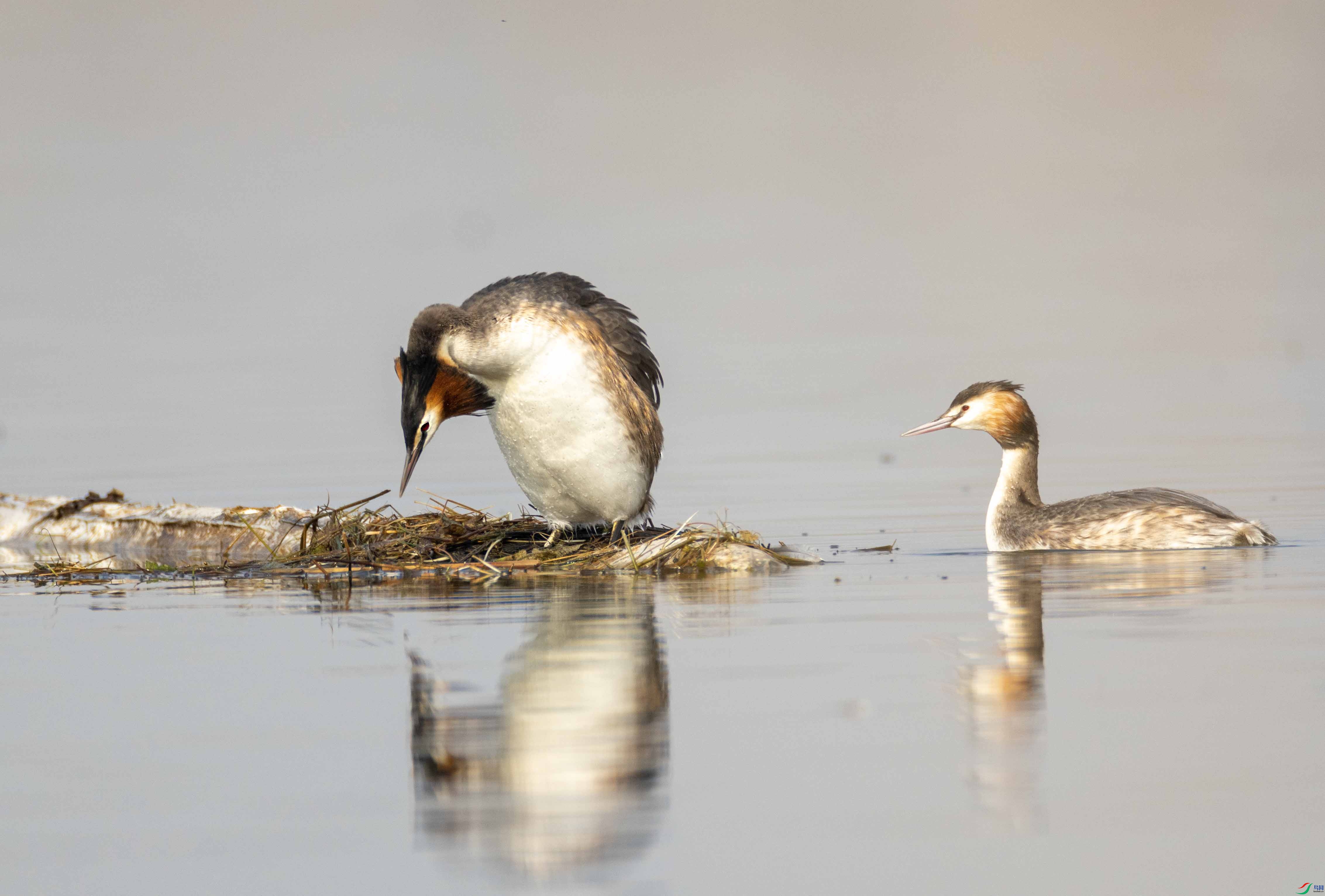 1-xt4L2A6887 ����.jpg