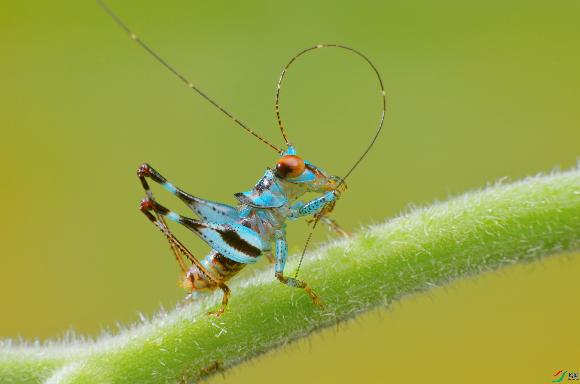 DSC_3561 ����.jpg