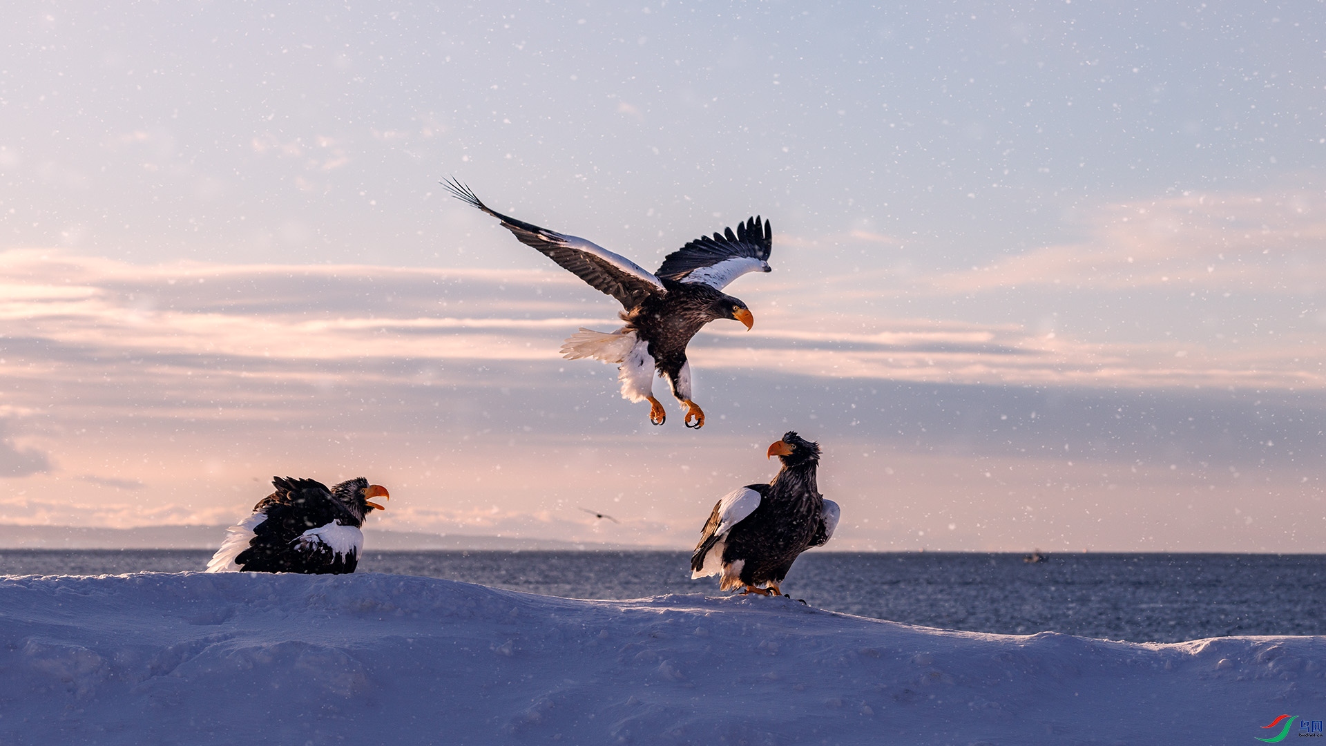 ��ͷ����