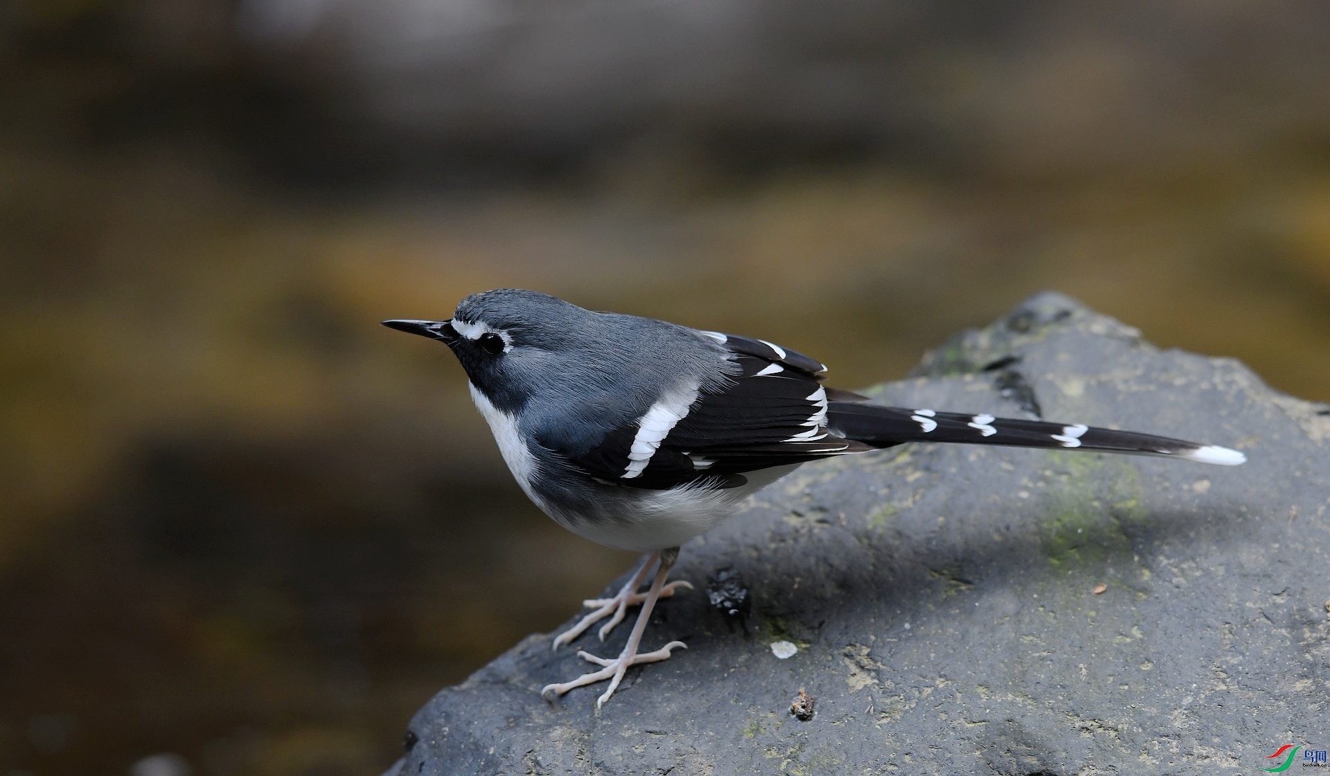 DSC_3902.jpg