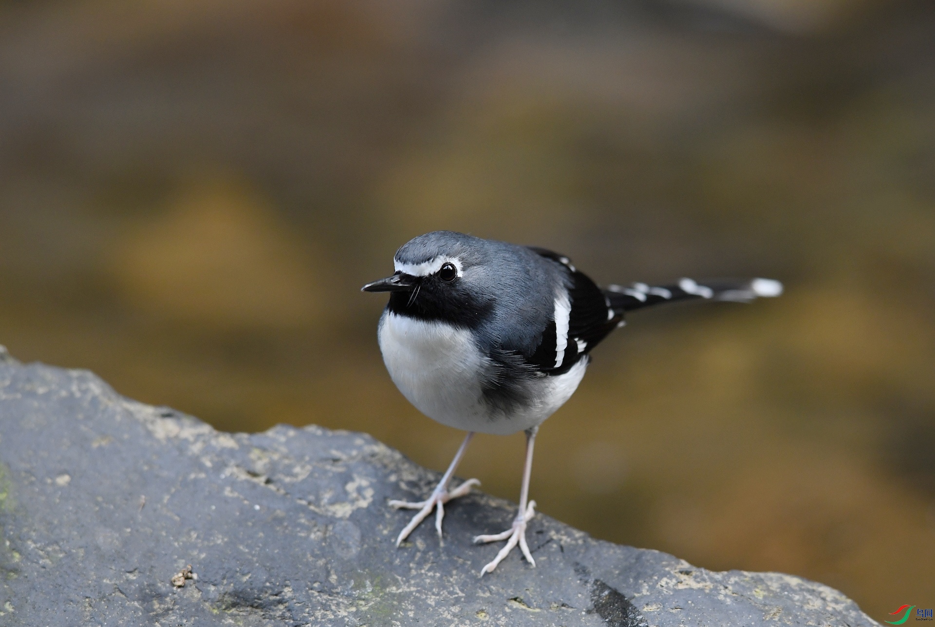 DSC_3900.jpg