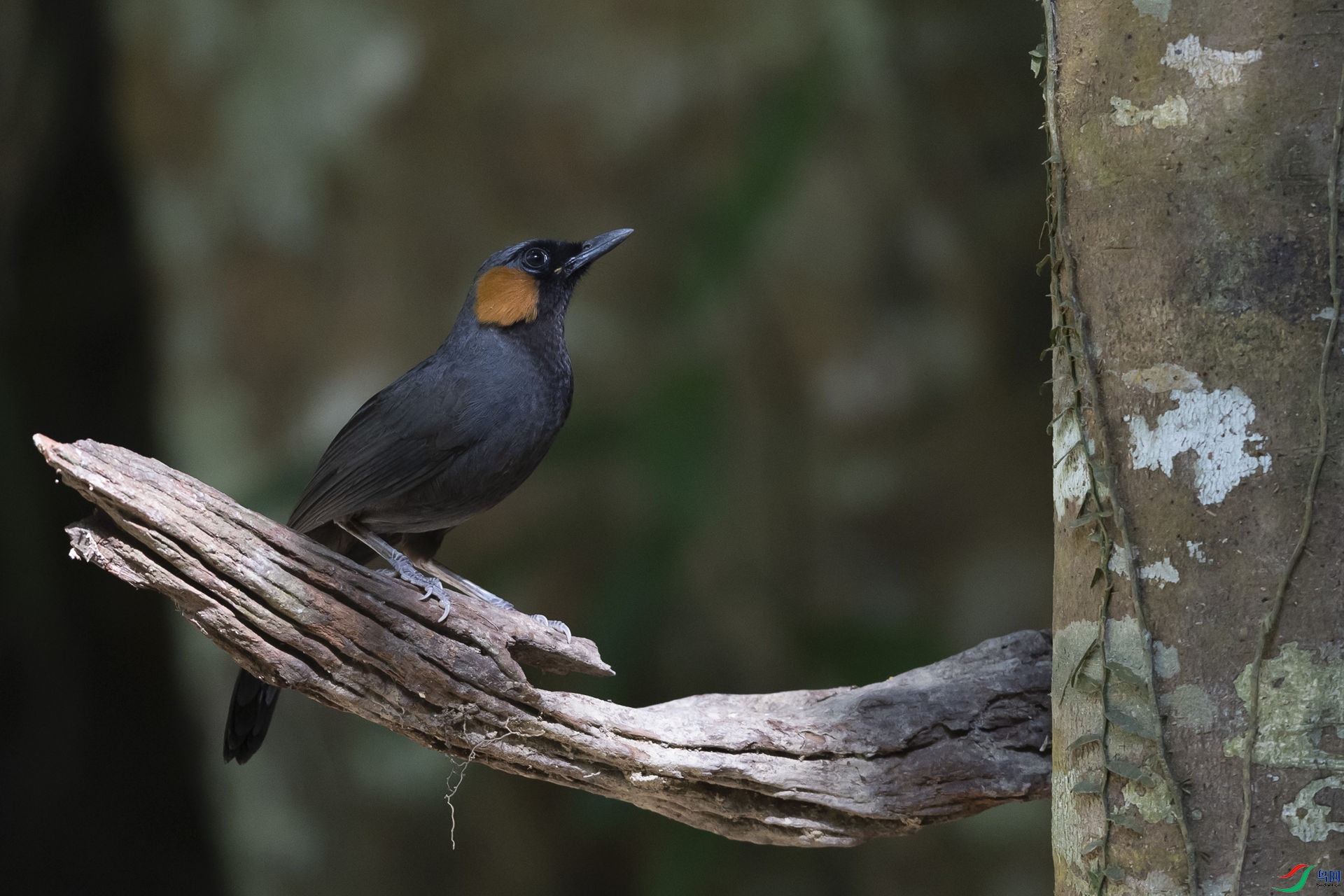 ���]����