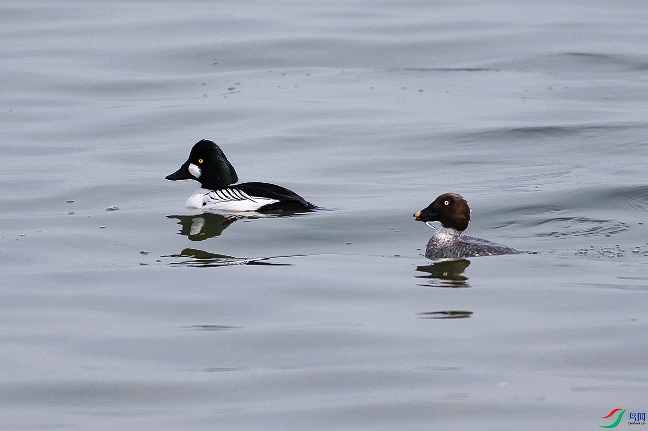 DSC_1818-.jpg