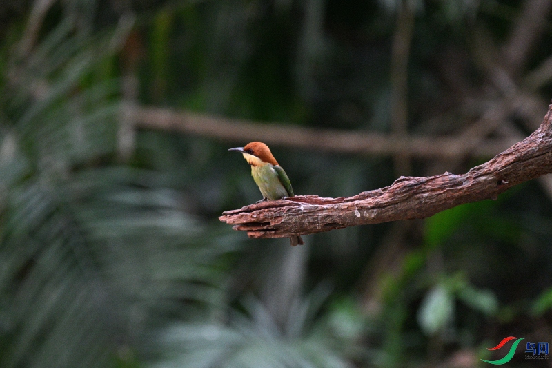 DSC_0789.JPG