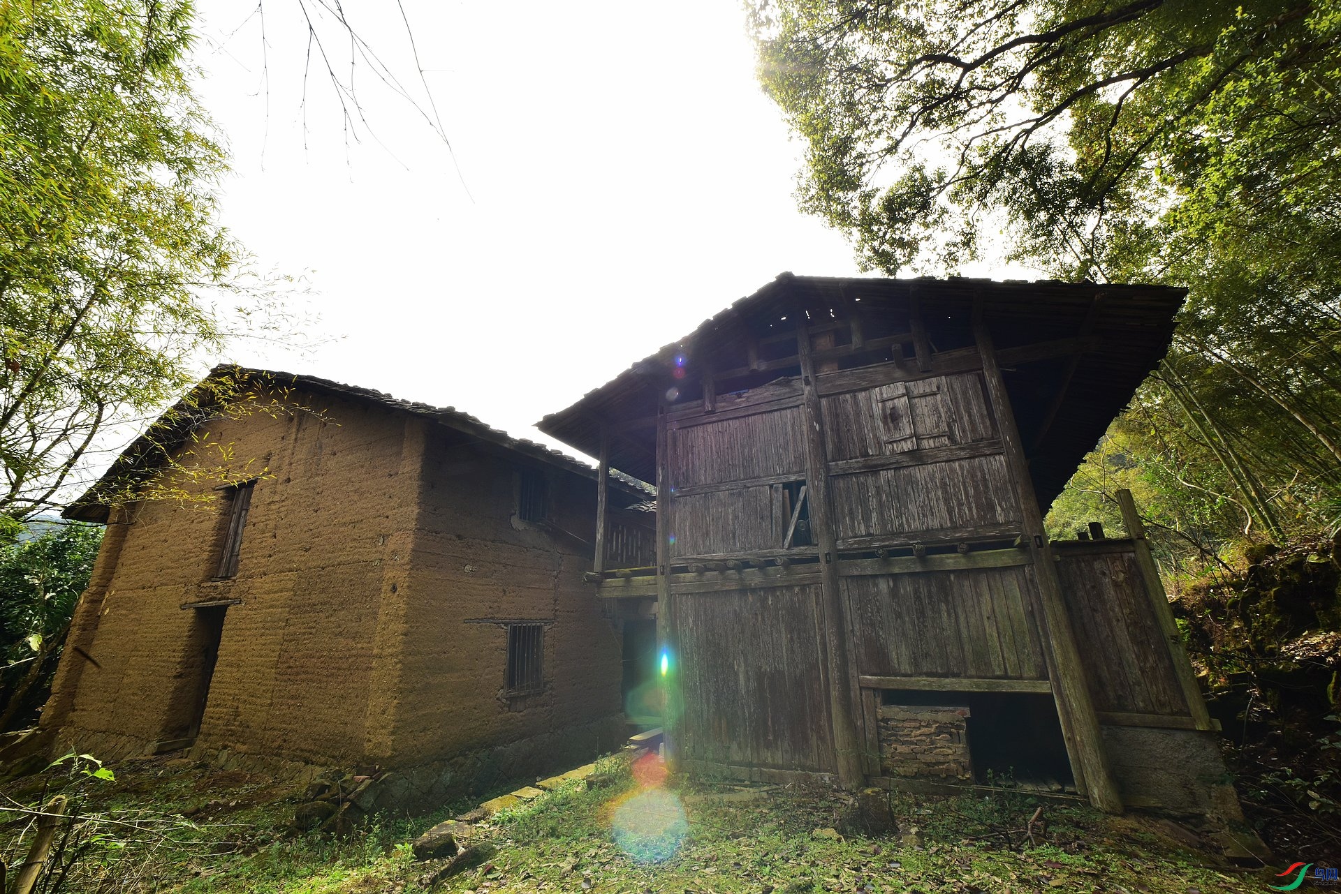 D8I_1335.jpg