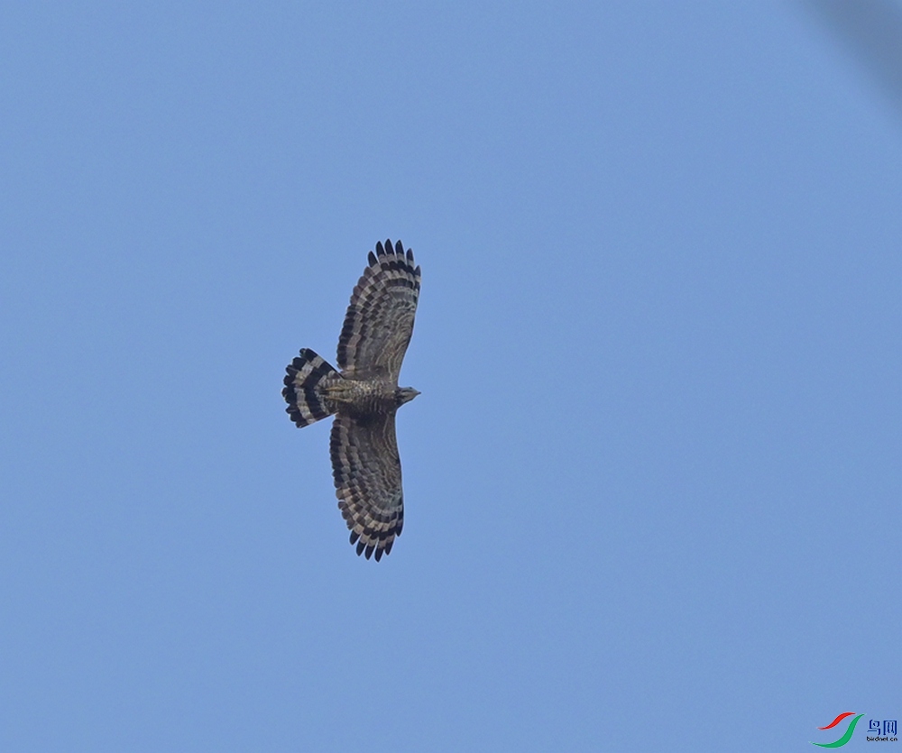 DSC_5021.JPG