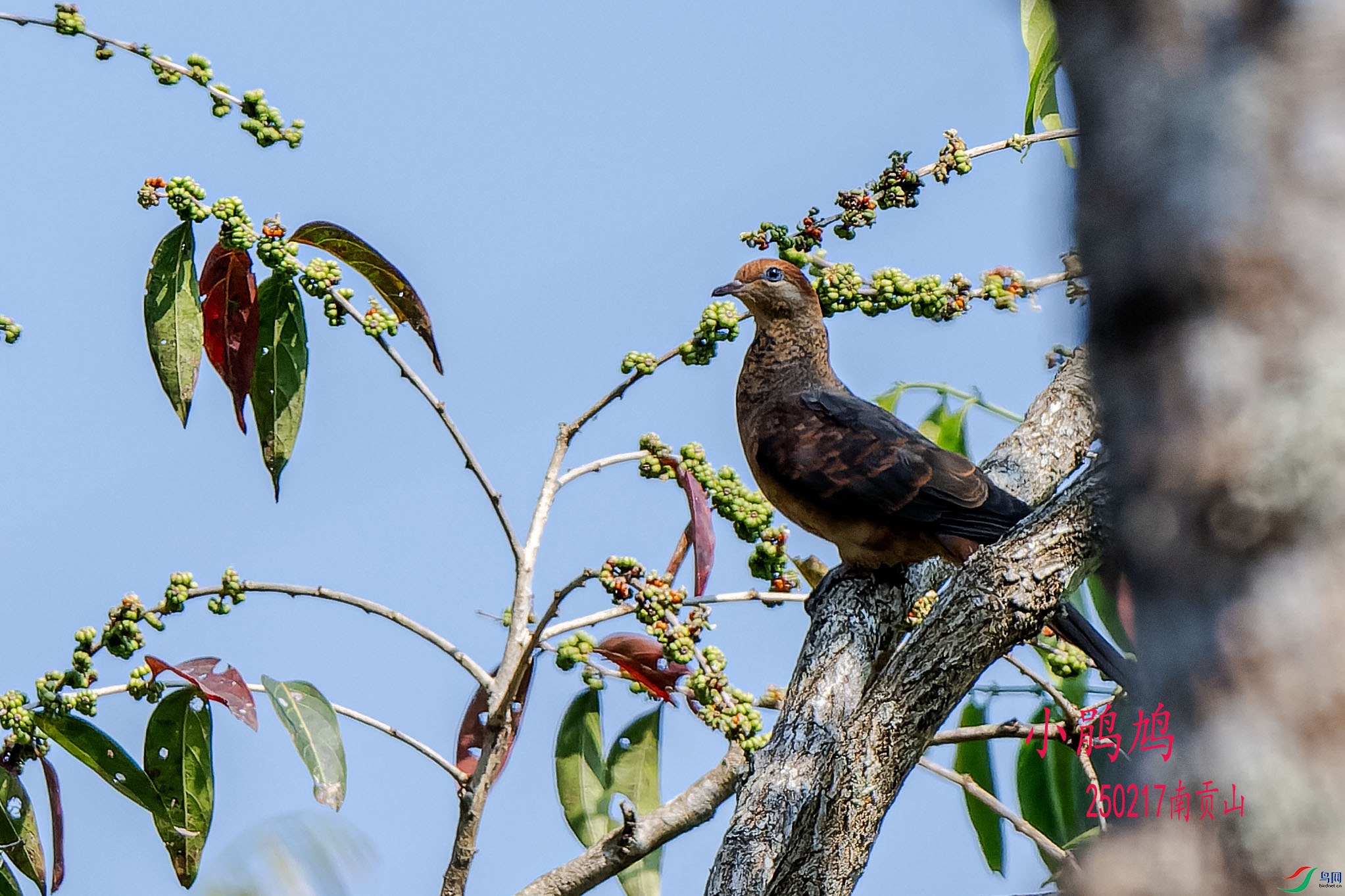 DSC_5341-NEF_DxO_DeepPRIME ���� 2.jpg