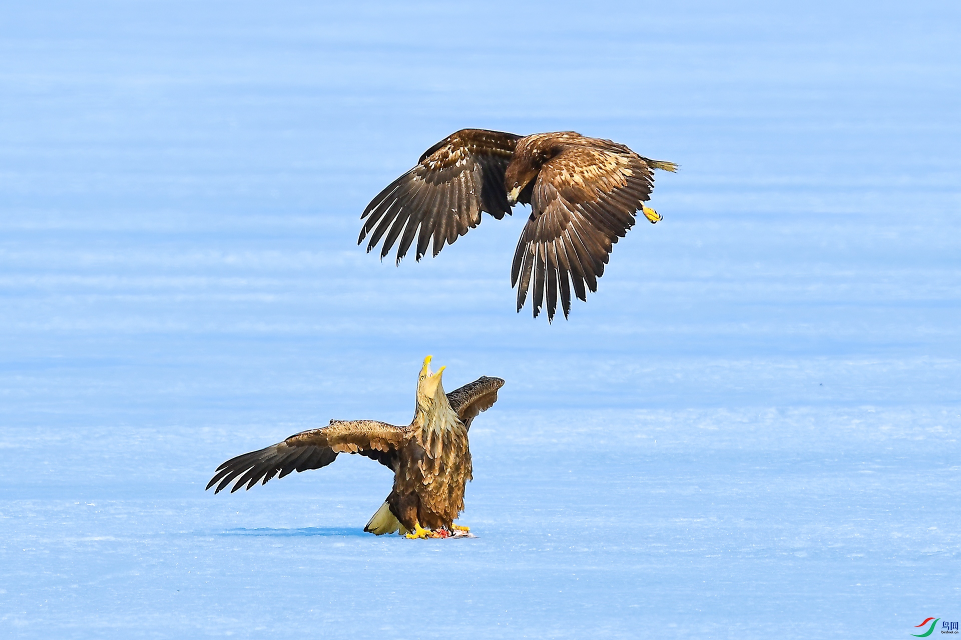 DSC_3424-1.jpg