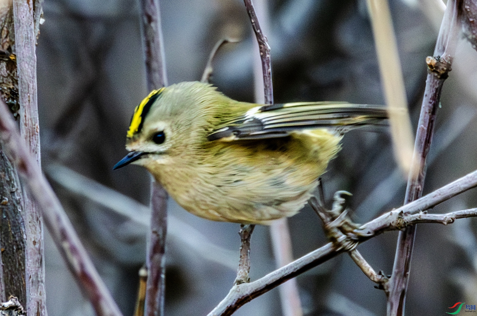 31-���� ����.jpg