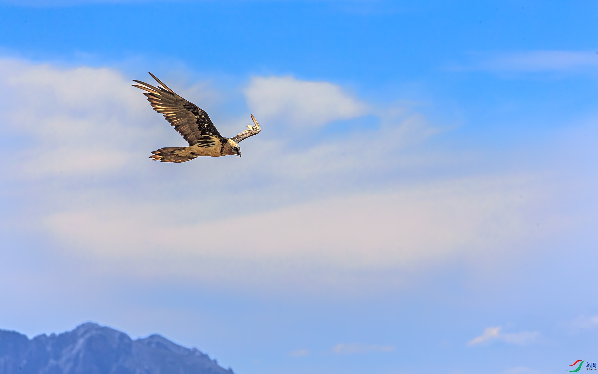 _J1R2658-1.jpg