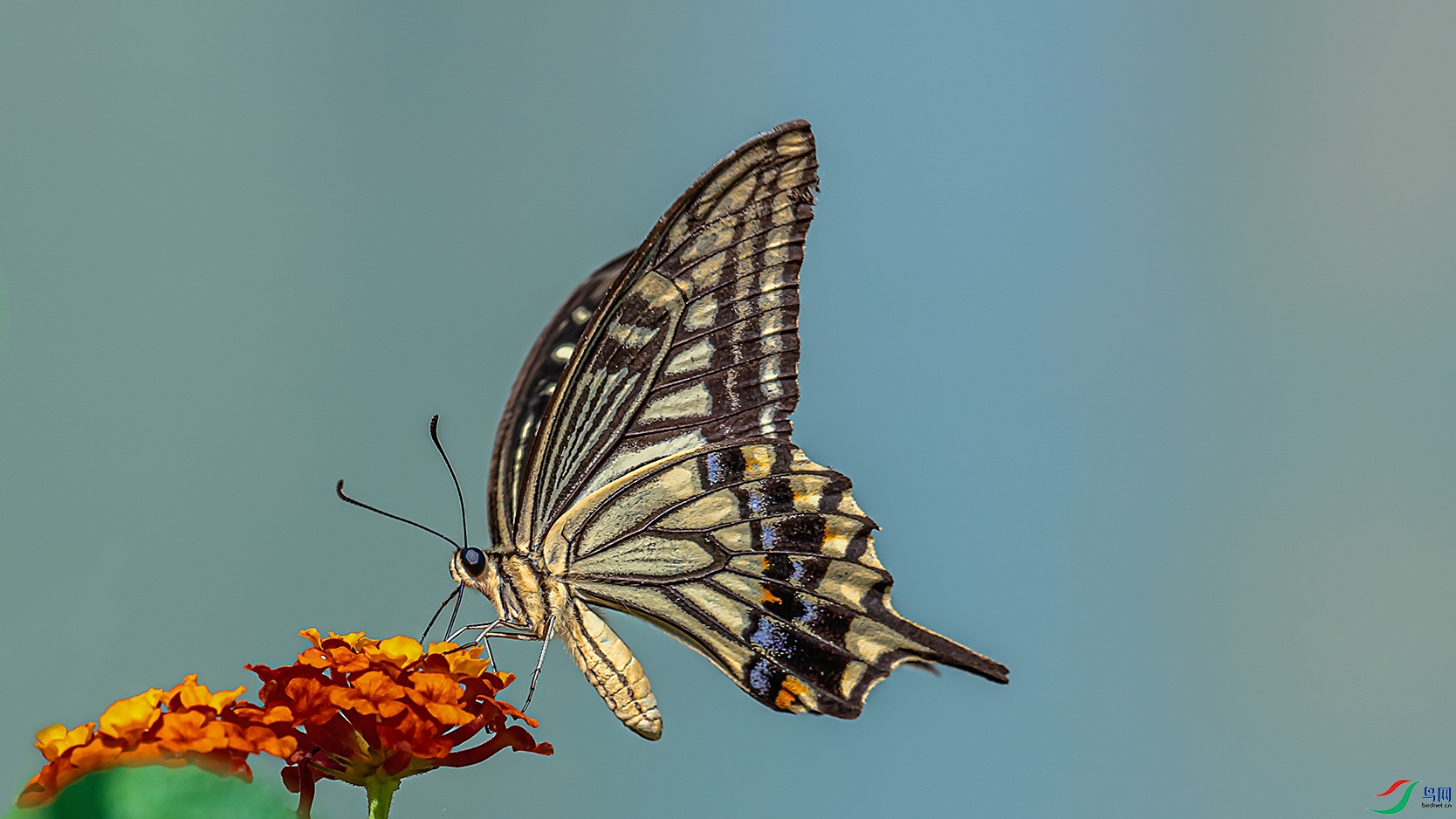 355A2939.jpg