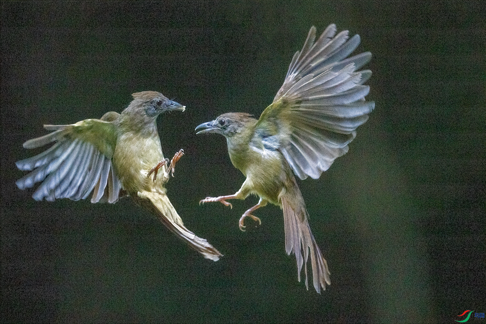 DSC08756.png