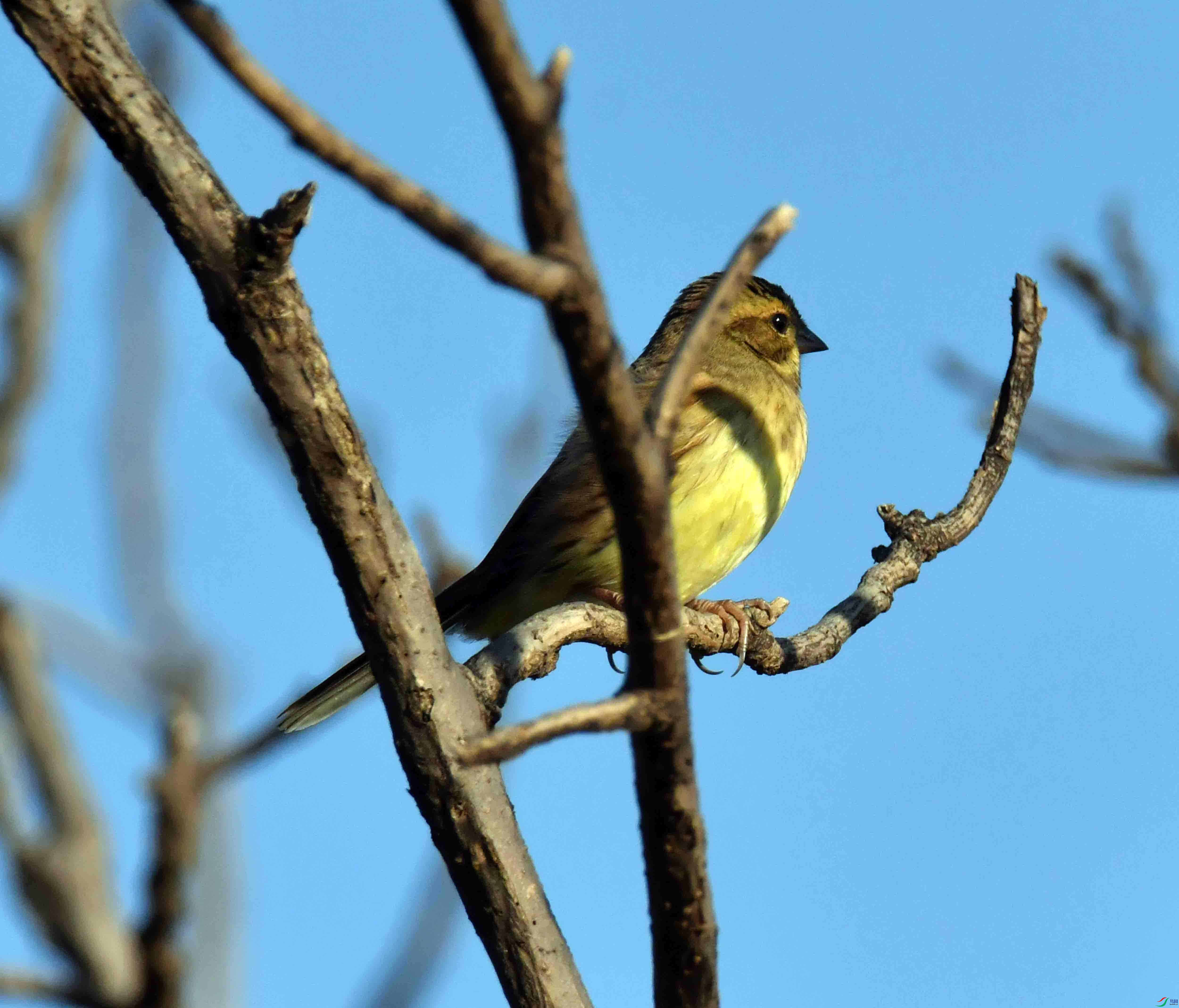 DSC_9965.JPG