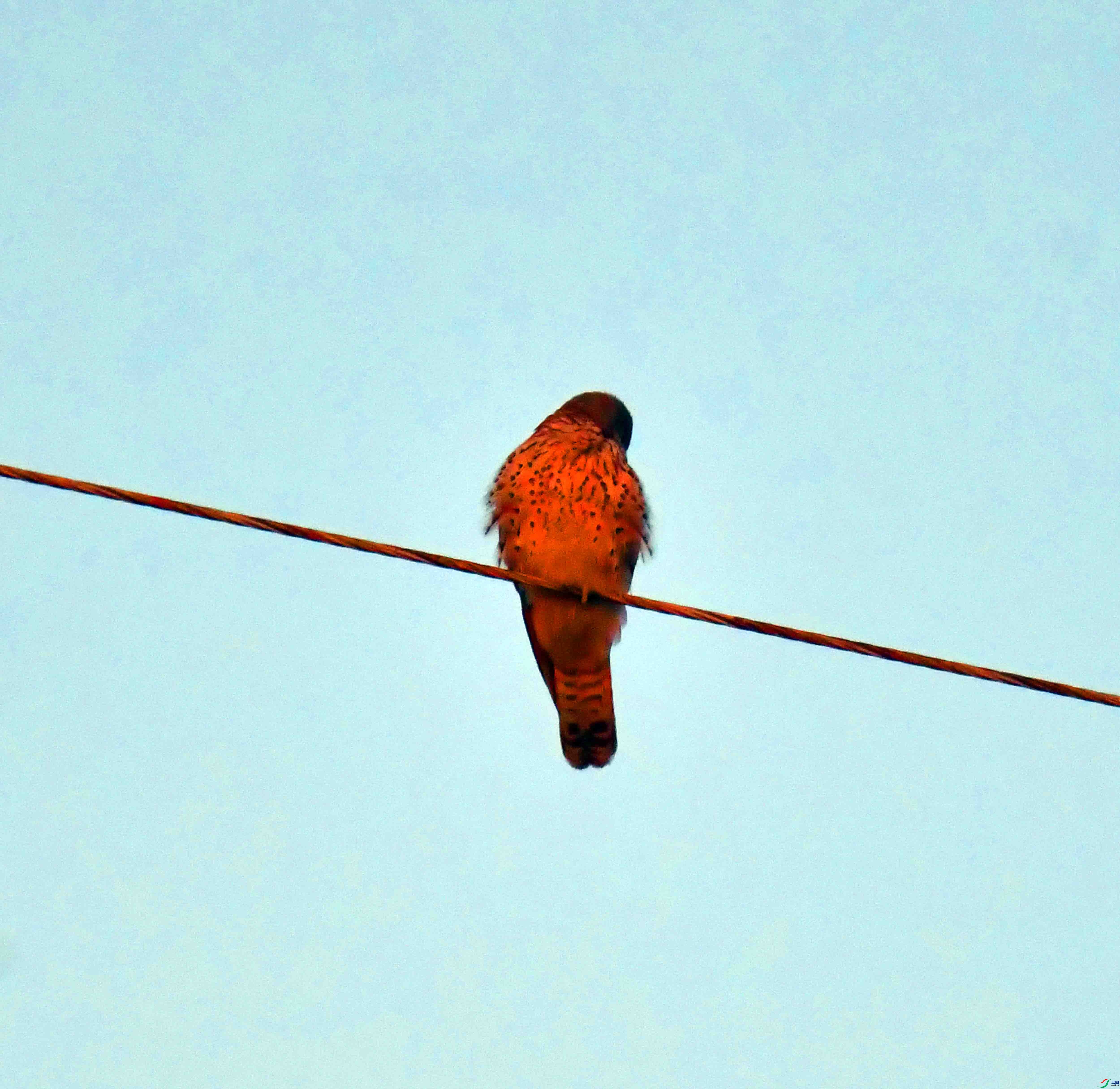 DSC_6488.JPG