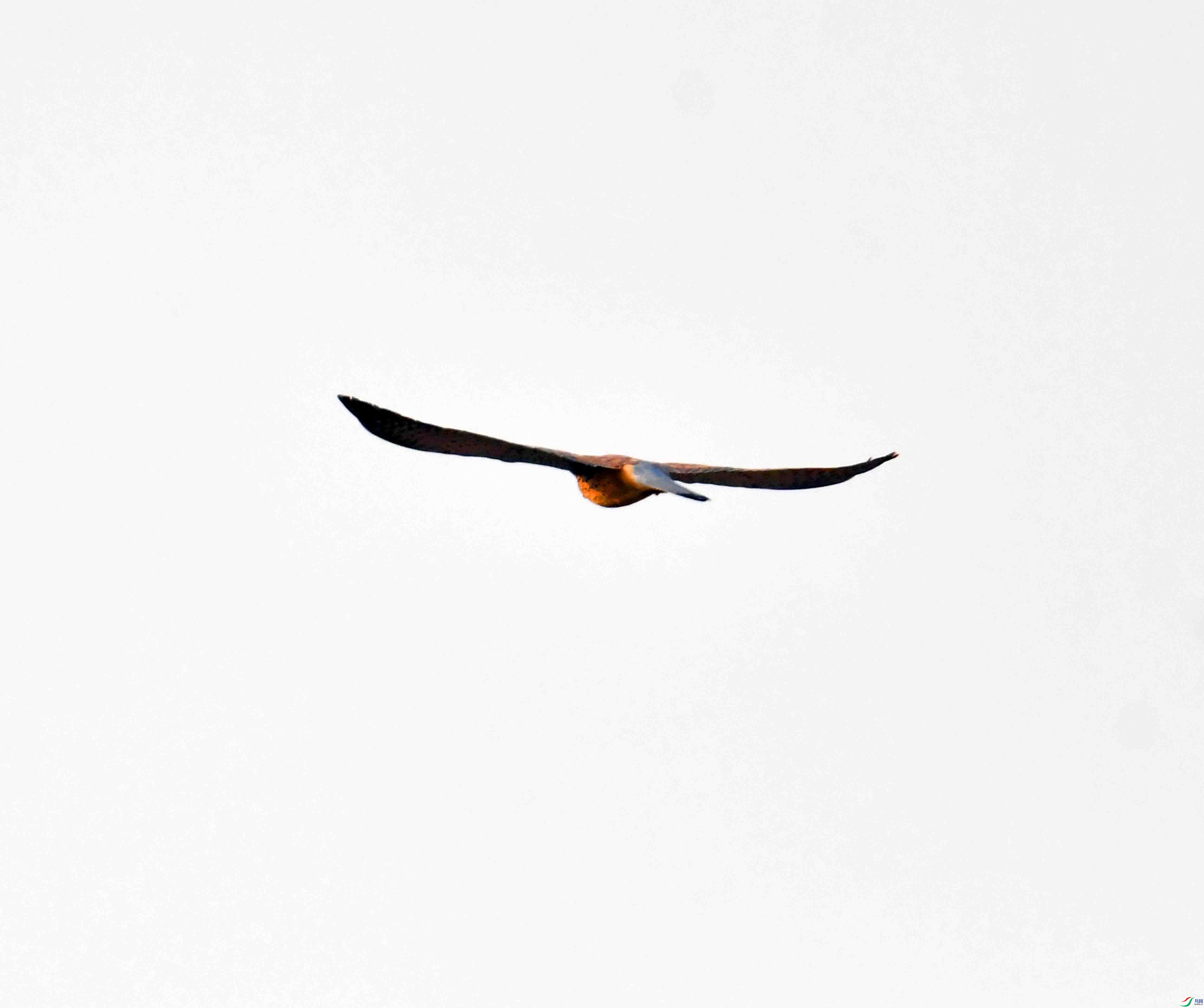 DSC_7014.JPG