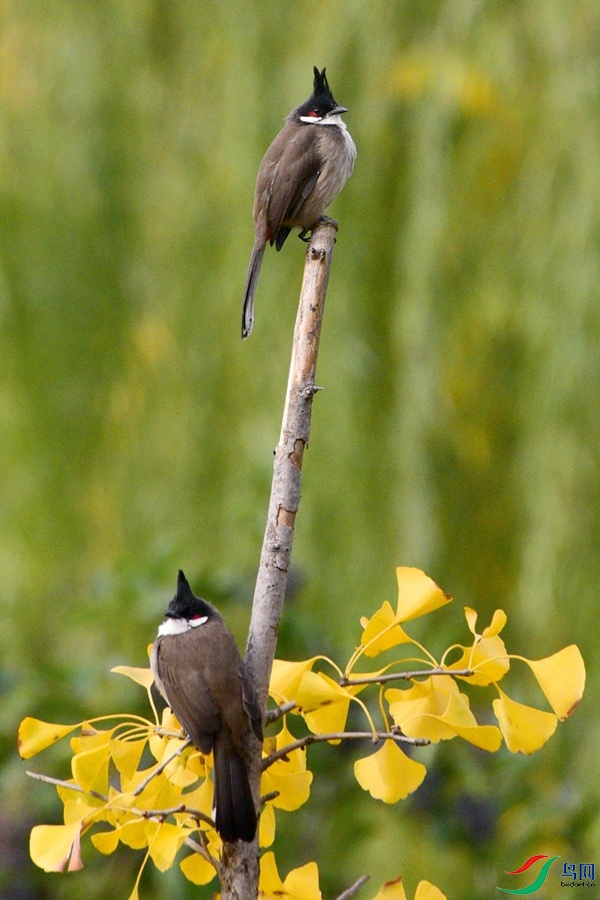 DSC_5665.JPG