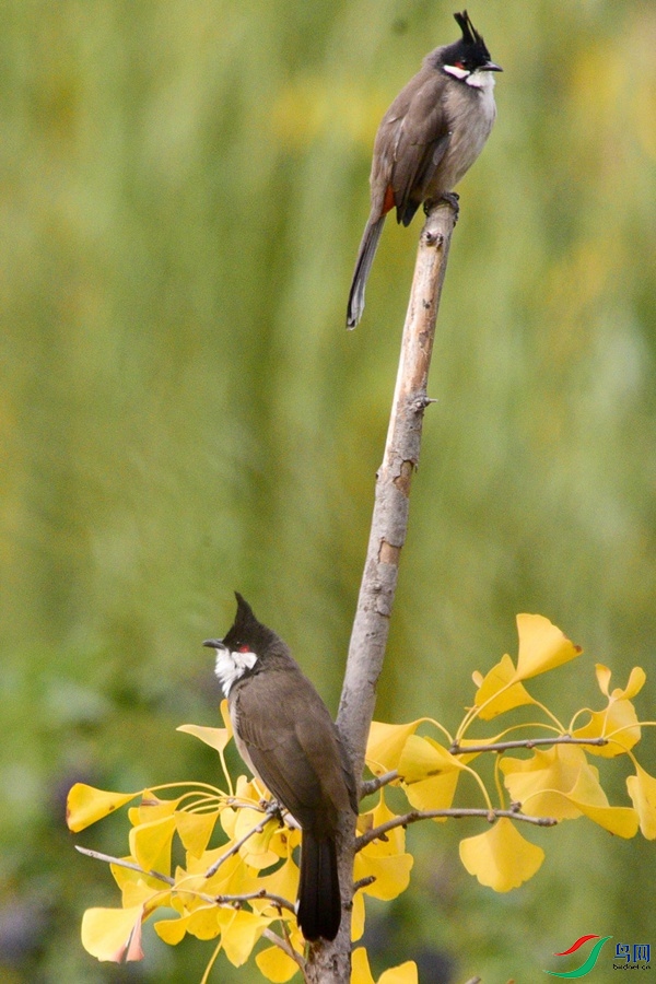 DSC_5674.JPG
