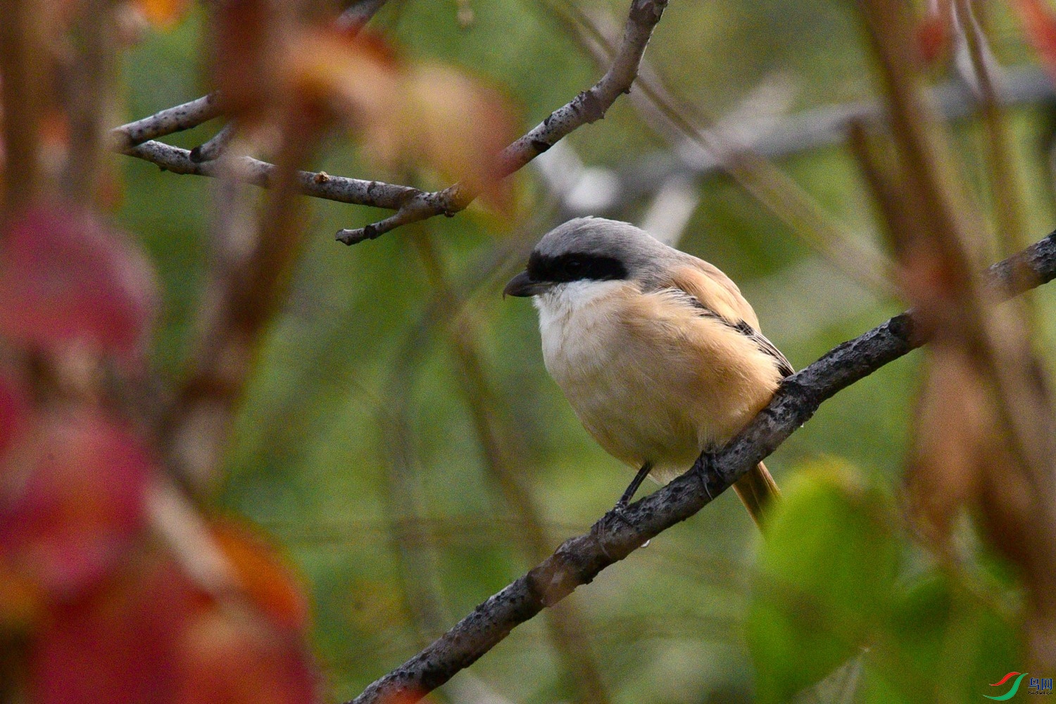 DSC_5685.JPG