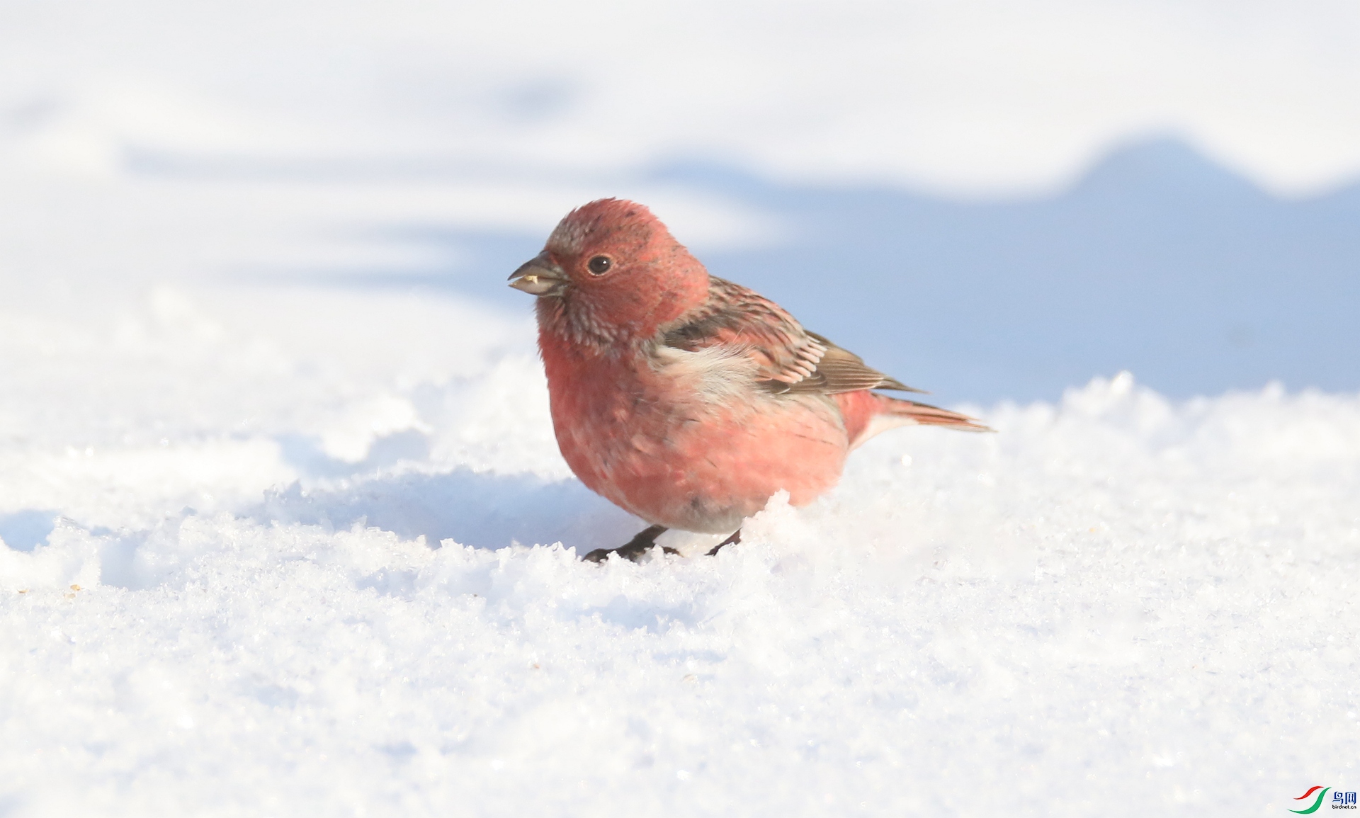 0G1A3943 ����.jpg