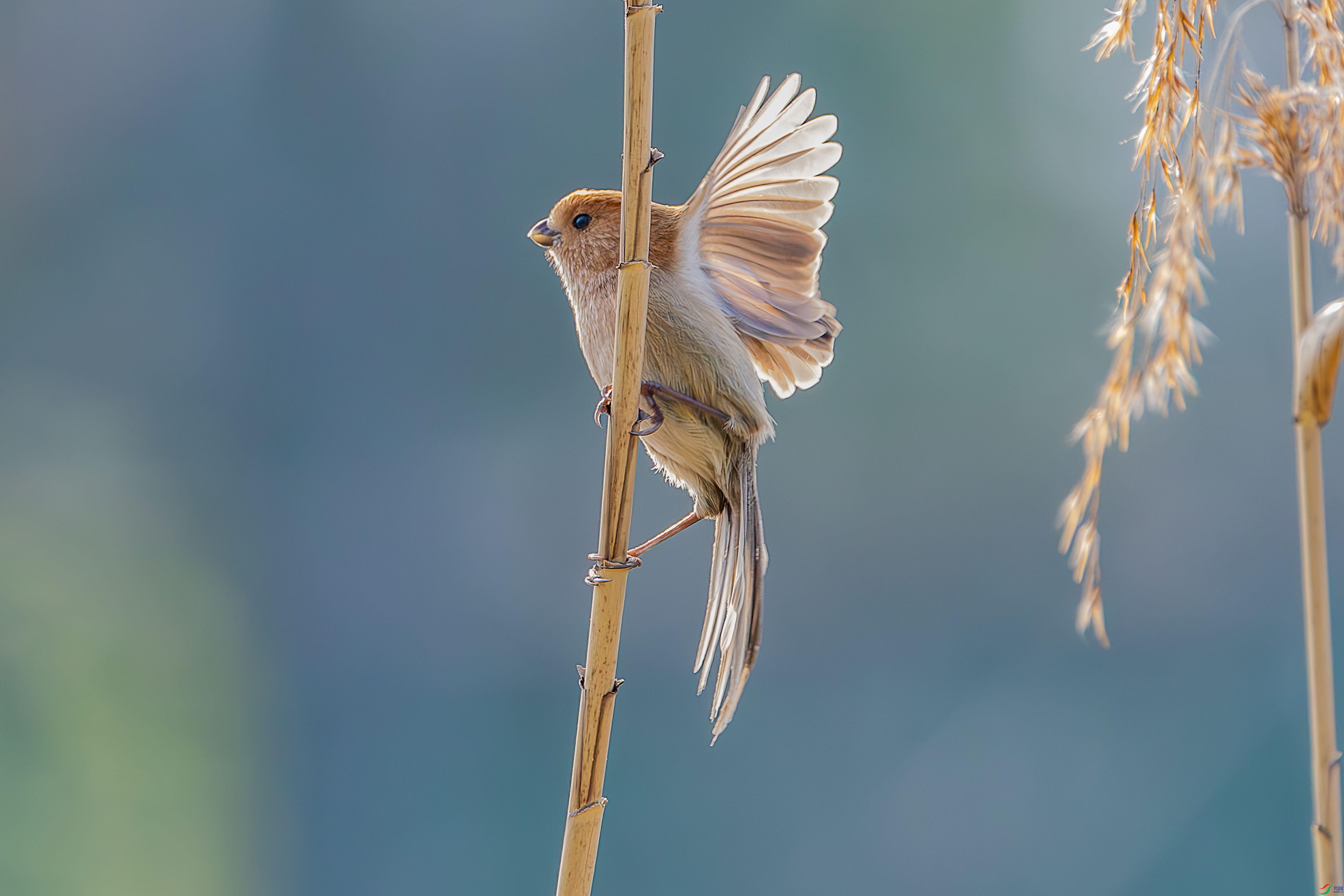 �������