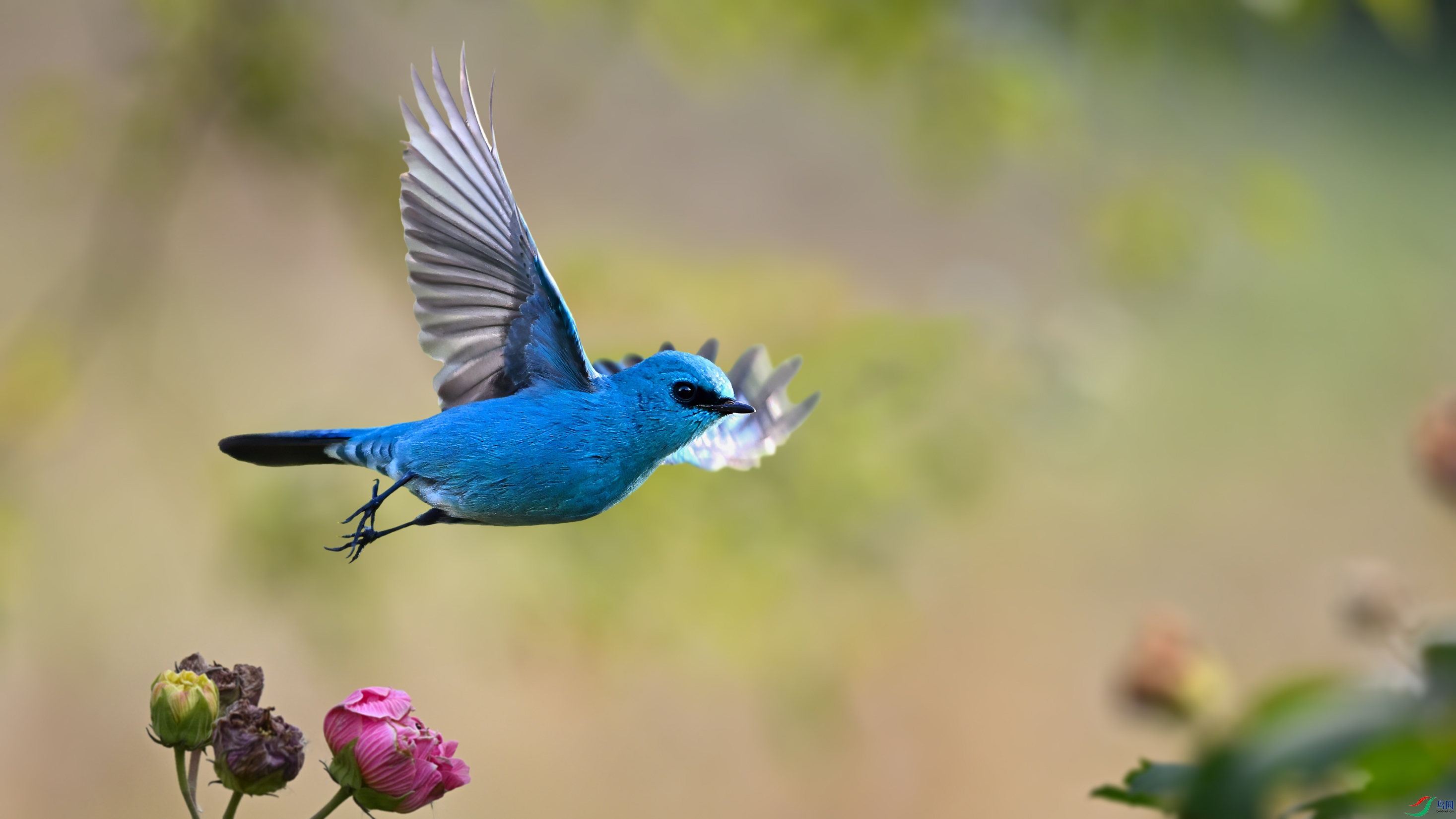 ͭ���lDSC_5630.jpg
