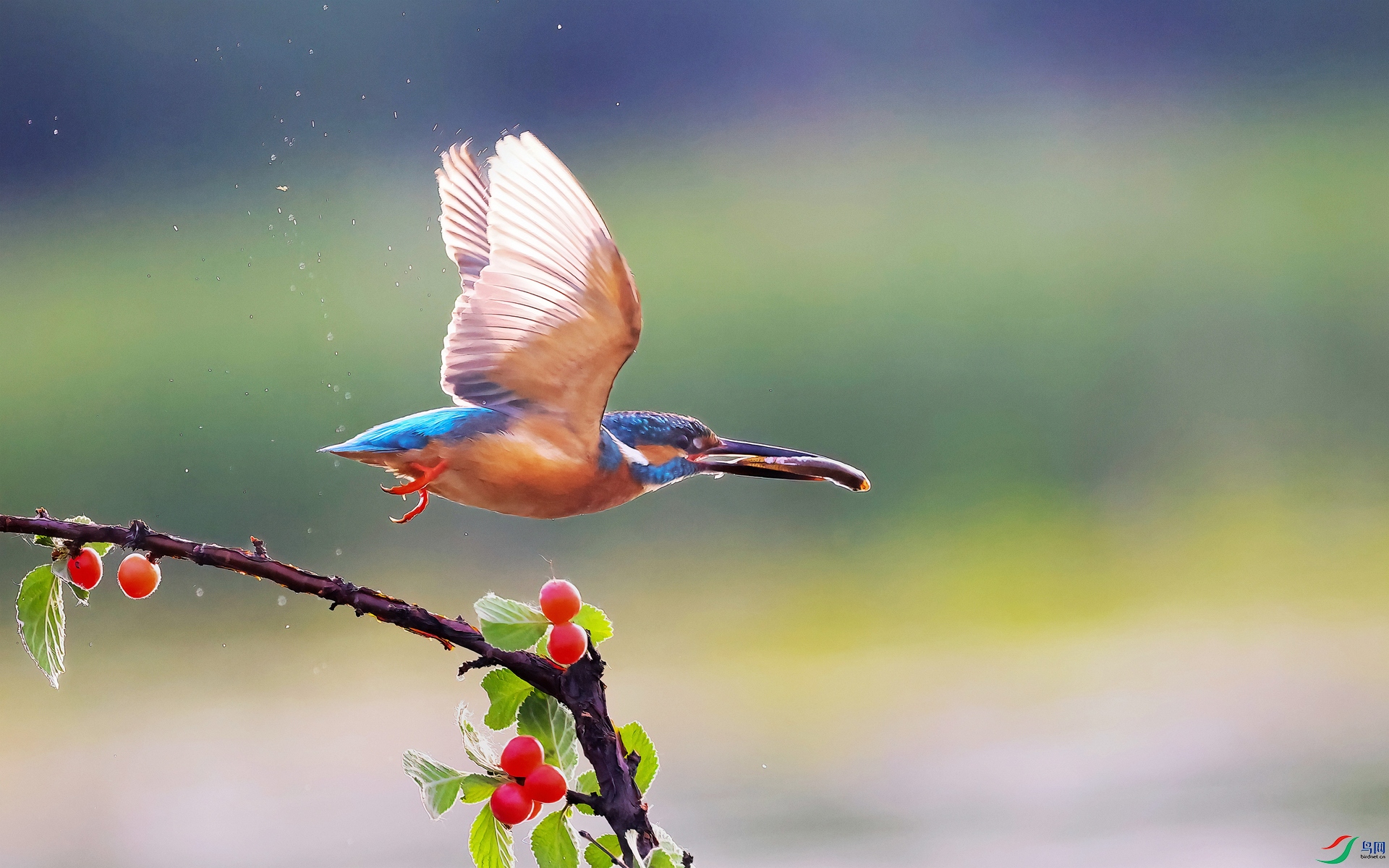 ΢��ͼƬ_20250313100611.jpg