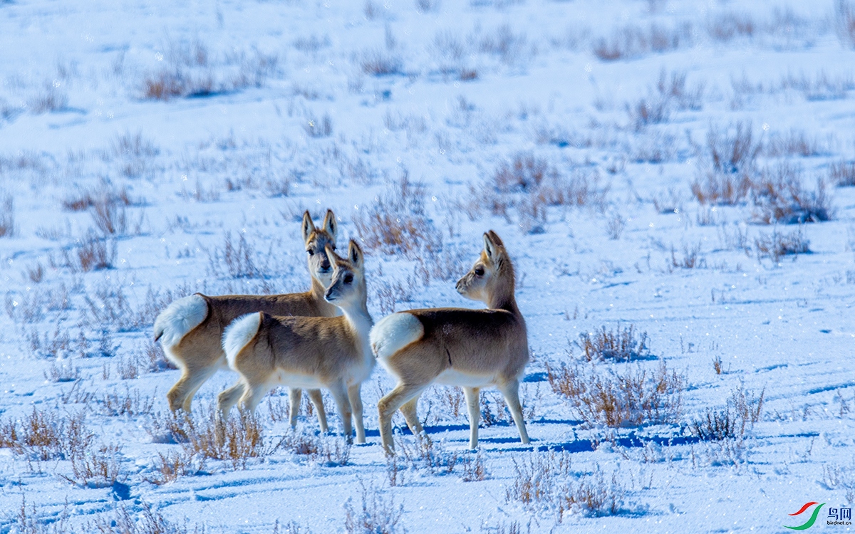DSC_3252.jpg