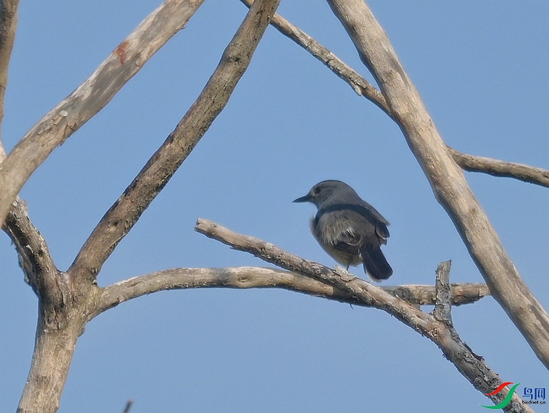 DSC_4943.JPG