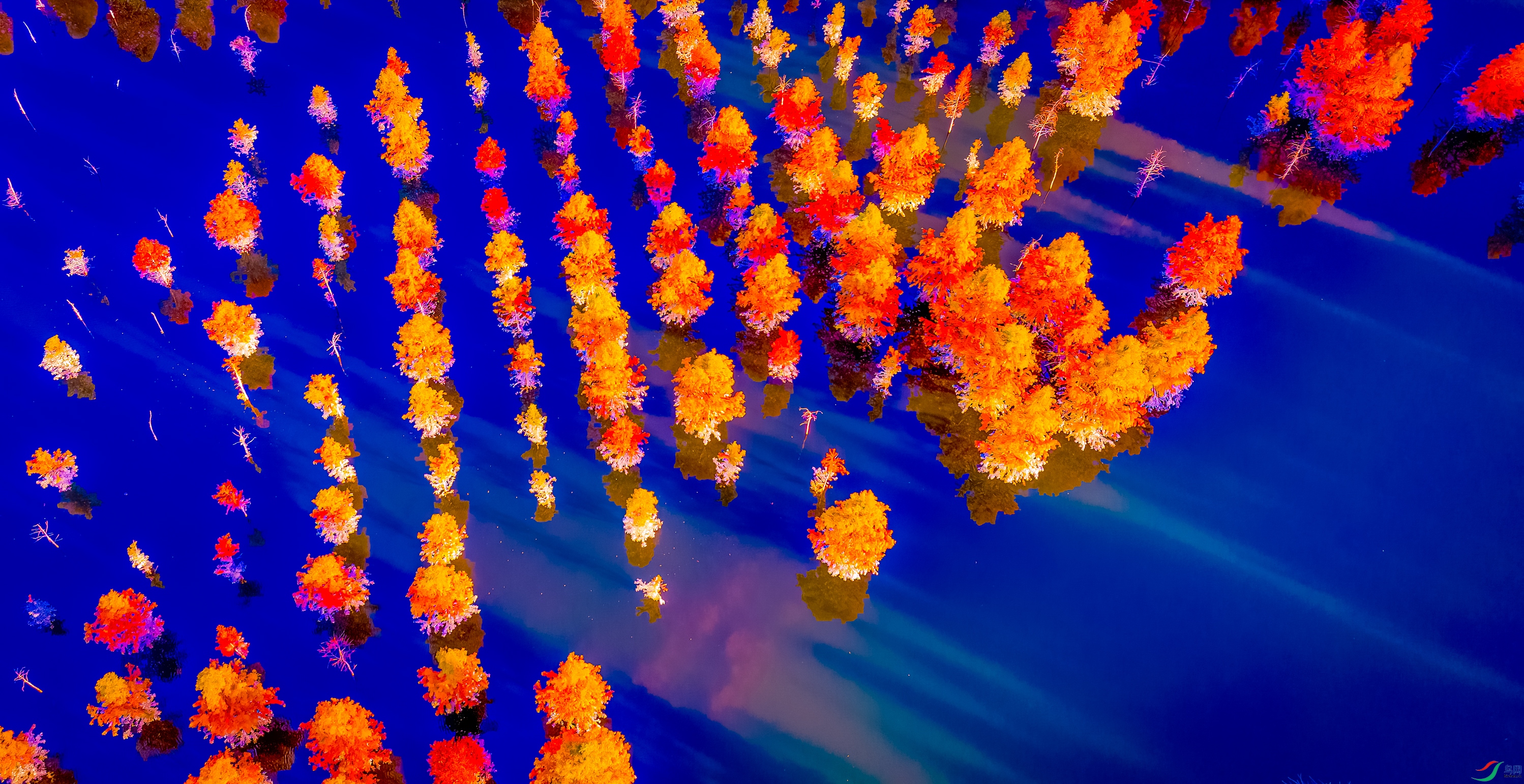 ������βˮɼ