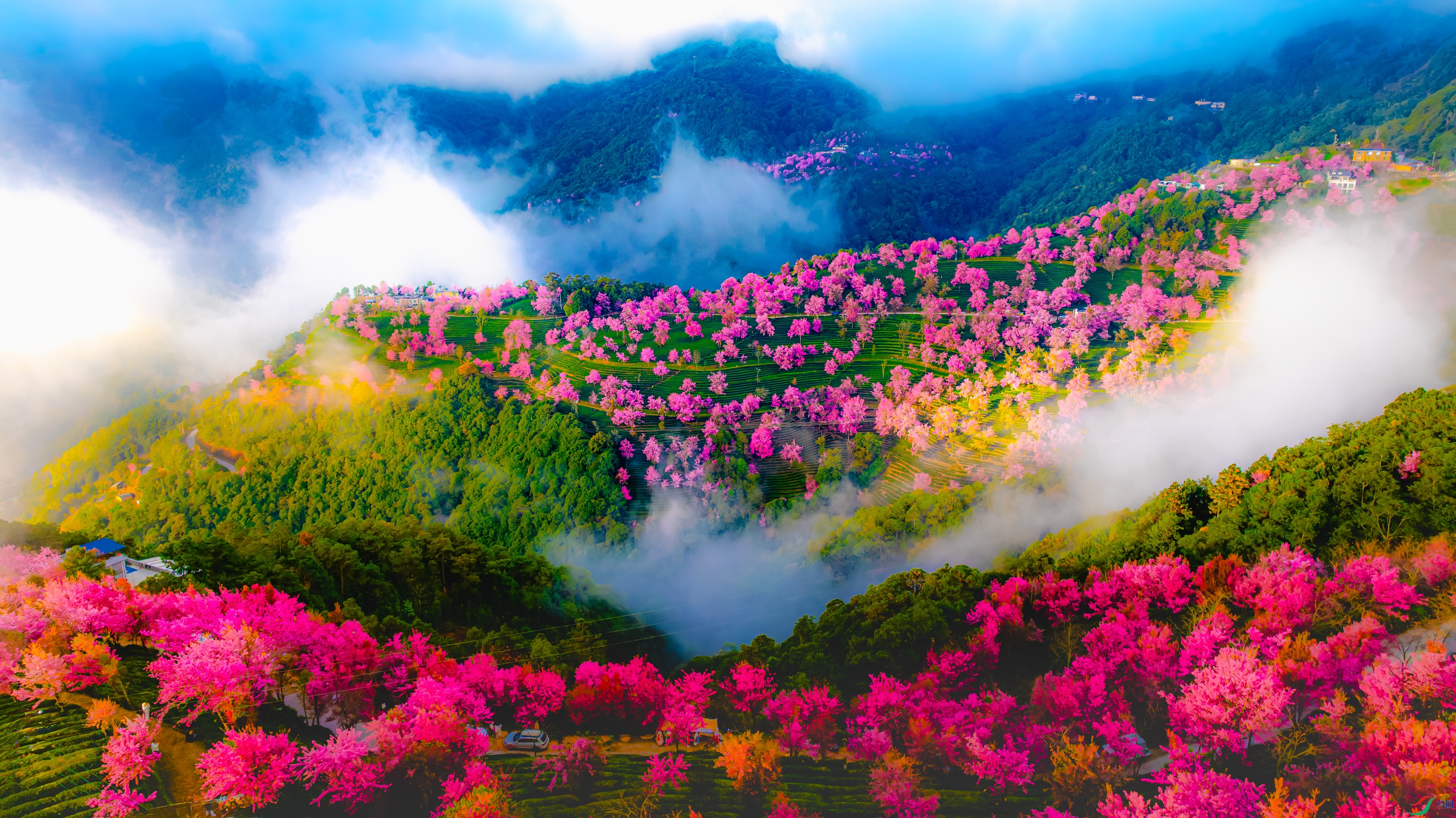 �Ͻ�����ɽ��ӣ��