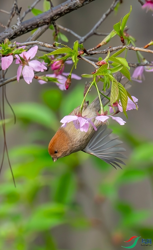 DSC_1015_����.jpg