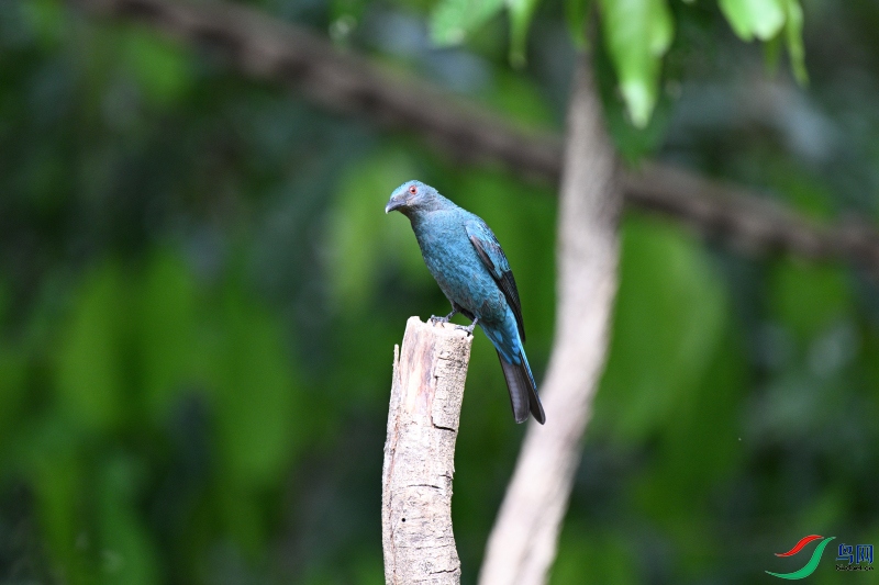DSC_8032.JPG
