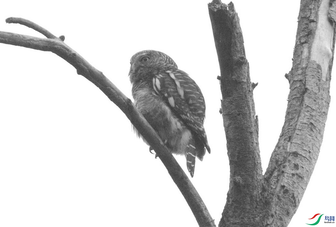 _DSC7267.jpgn_������С - ����.jpg